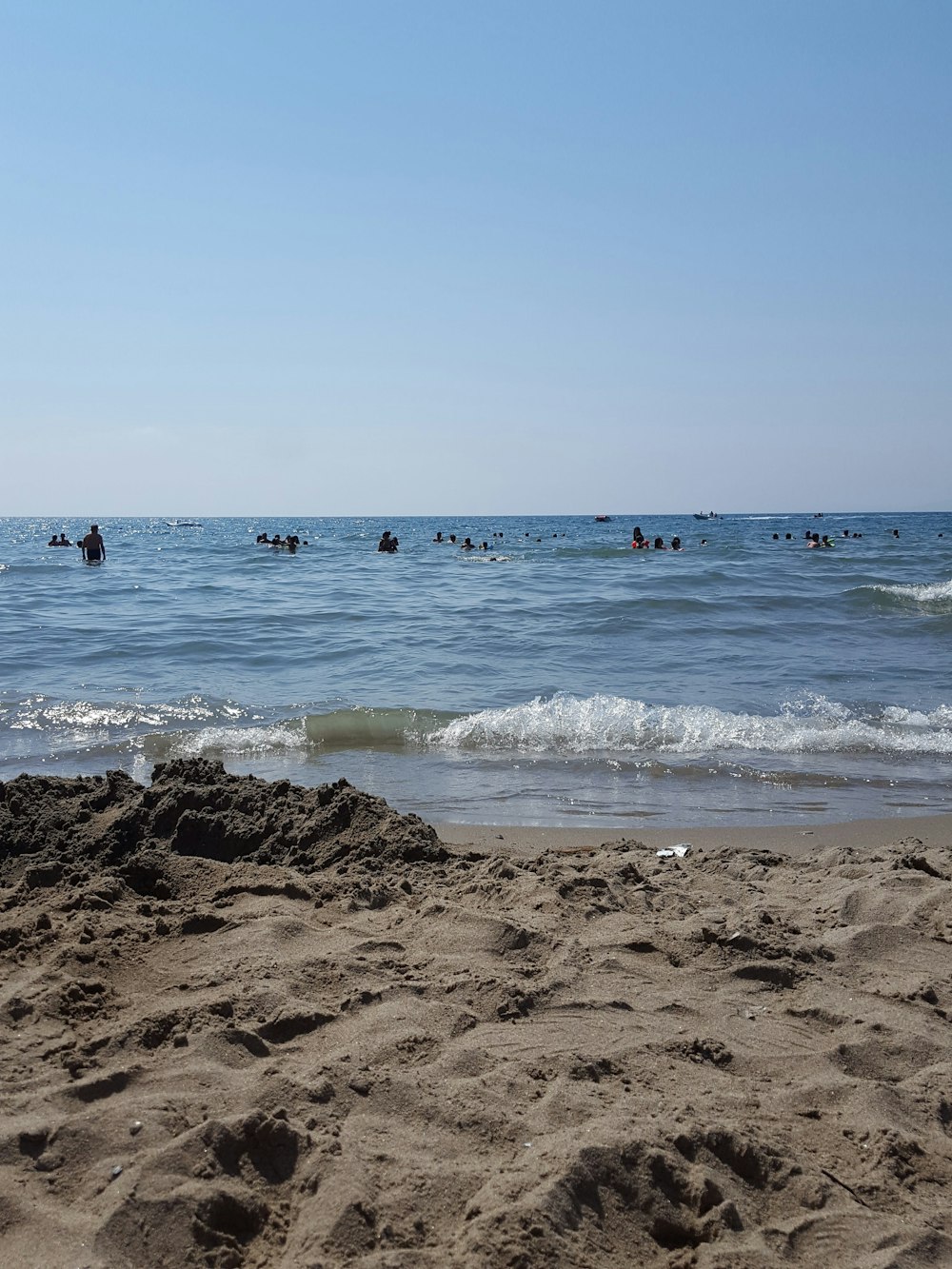 people on beach during daytime