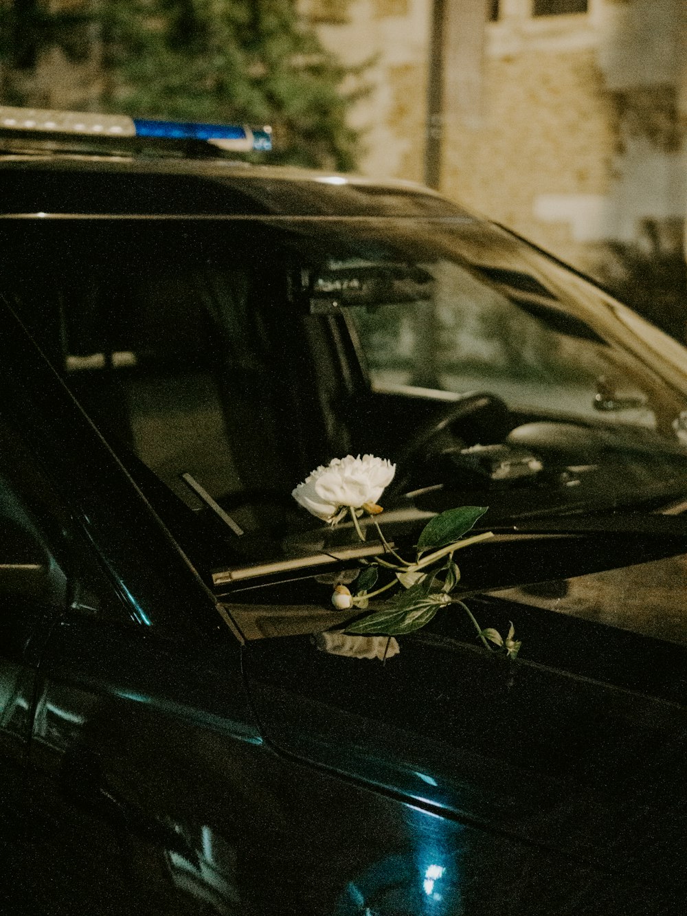 fleur blanche sur voiture noire