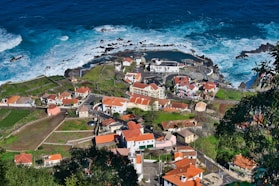 aerial view of houses near sea during daytime