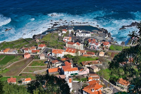 aerial view of houses near sea during daytime