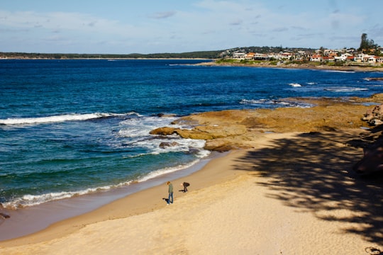 people walking on beach during daytime in South Cronulla Beach Australia