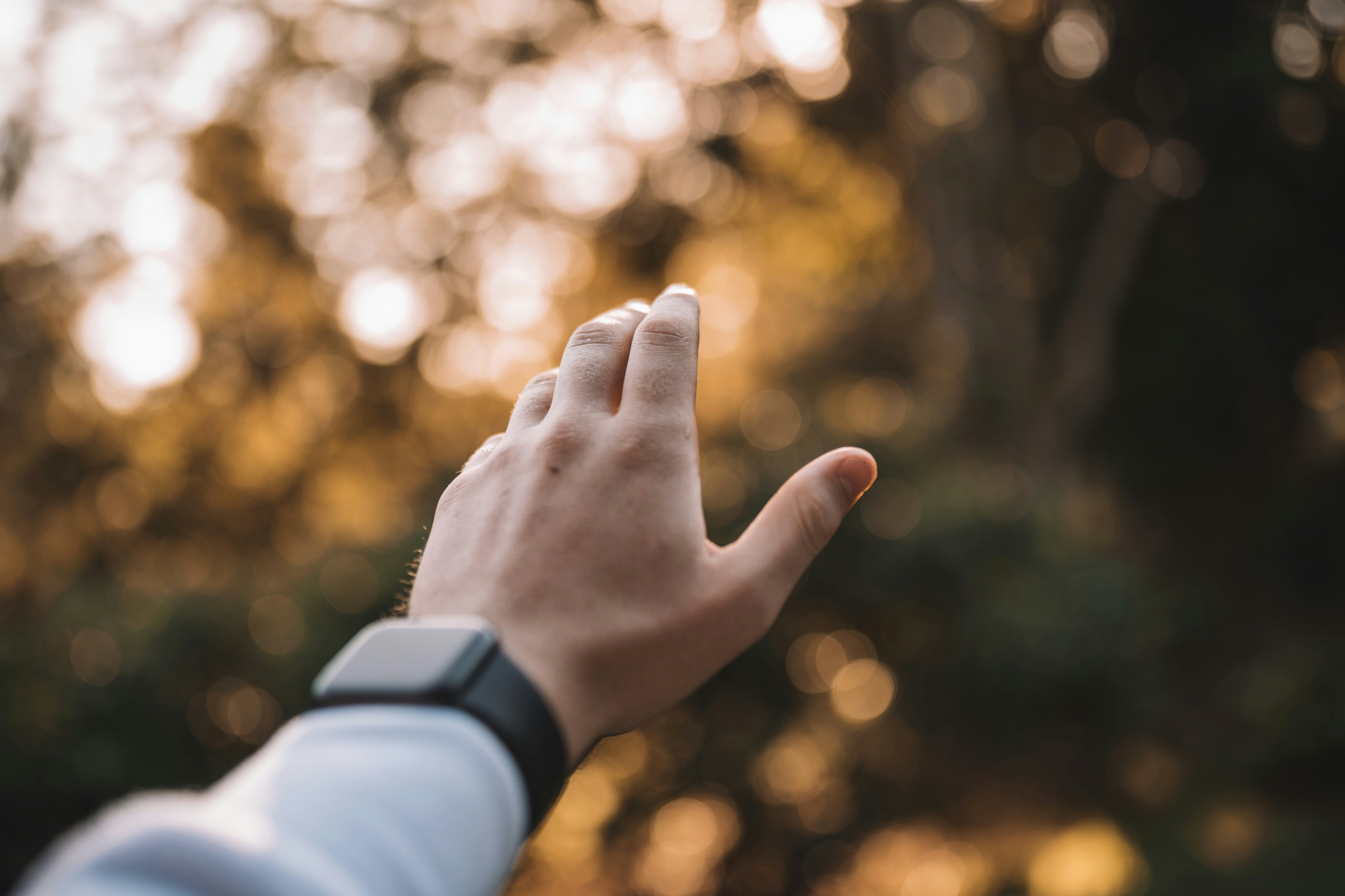 Photo by angus_buchanan