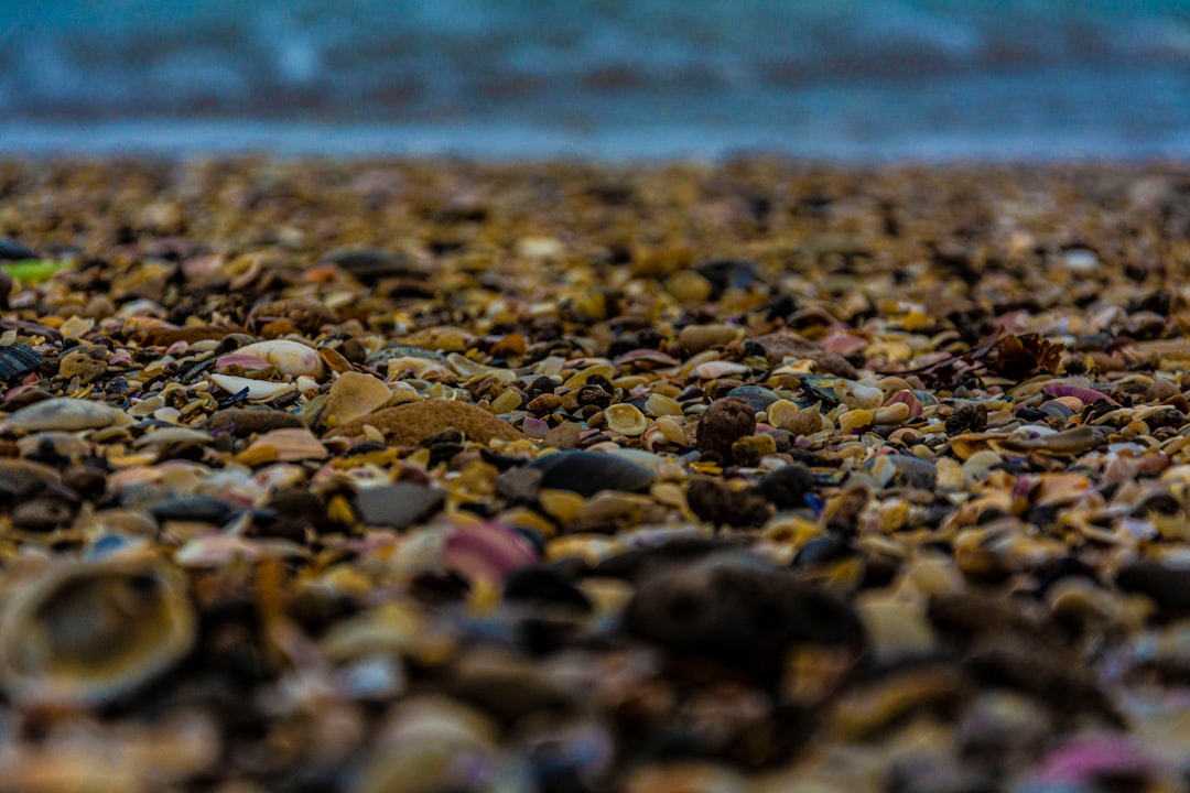 Shore photo spot Santa Elena Mar del Plata