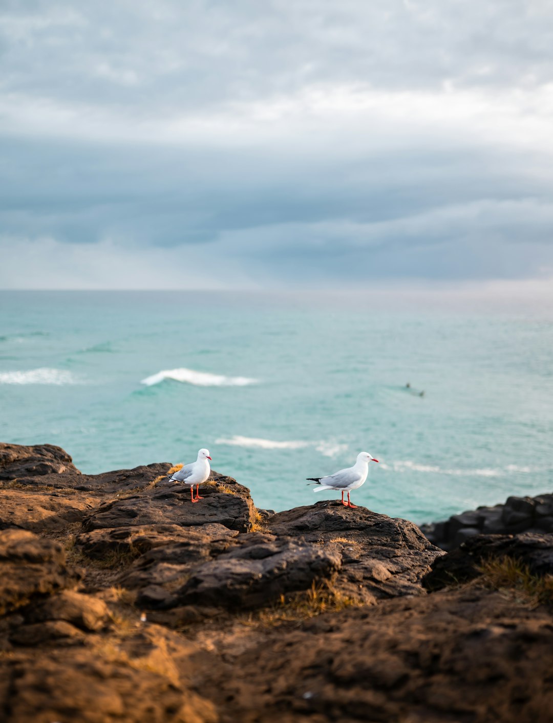 travelers stories about Beach in Fingal Head, Australia