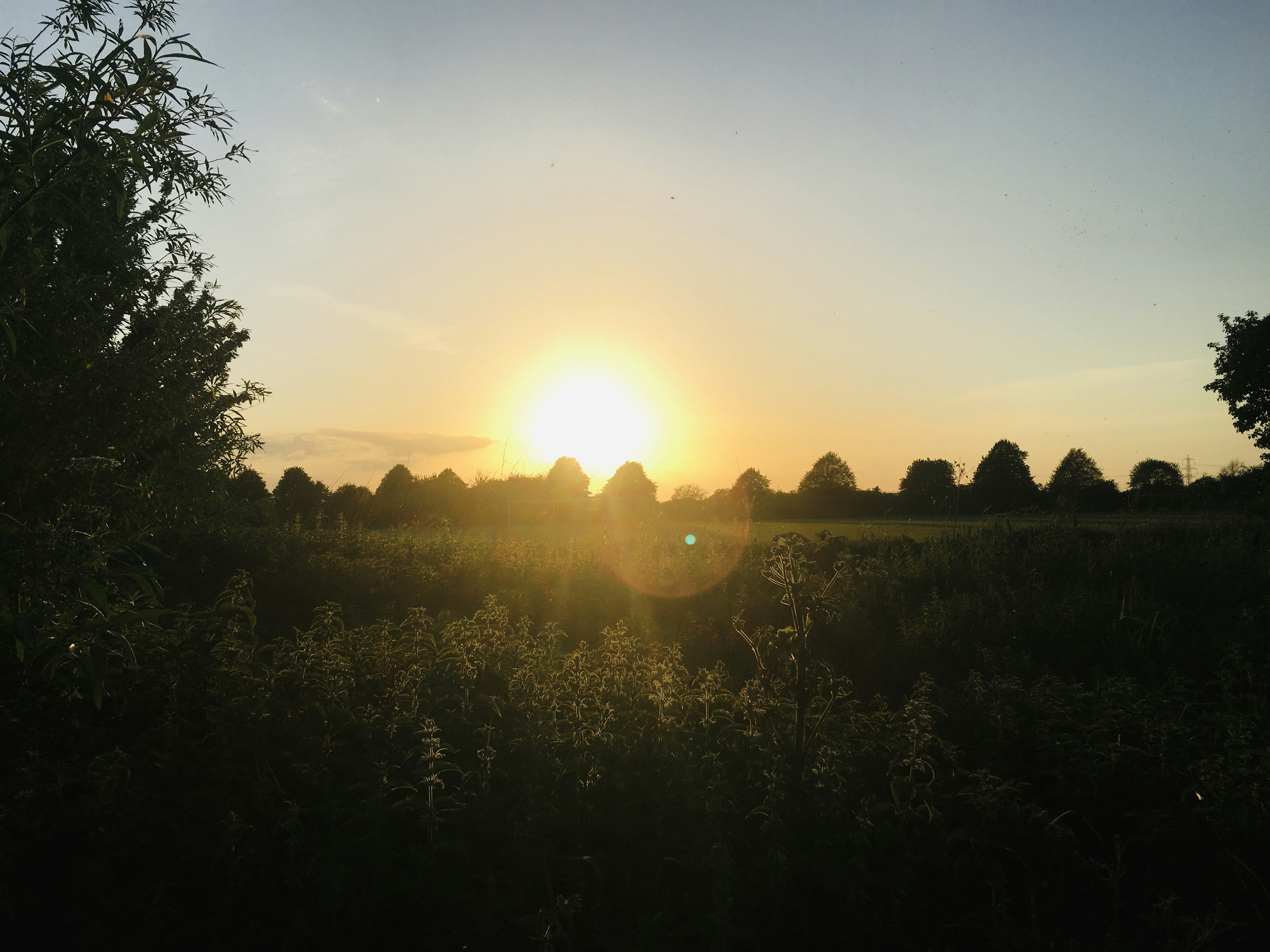 Photo by cranky_bear