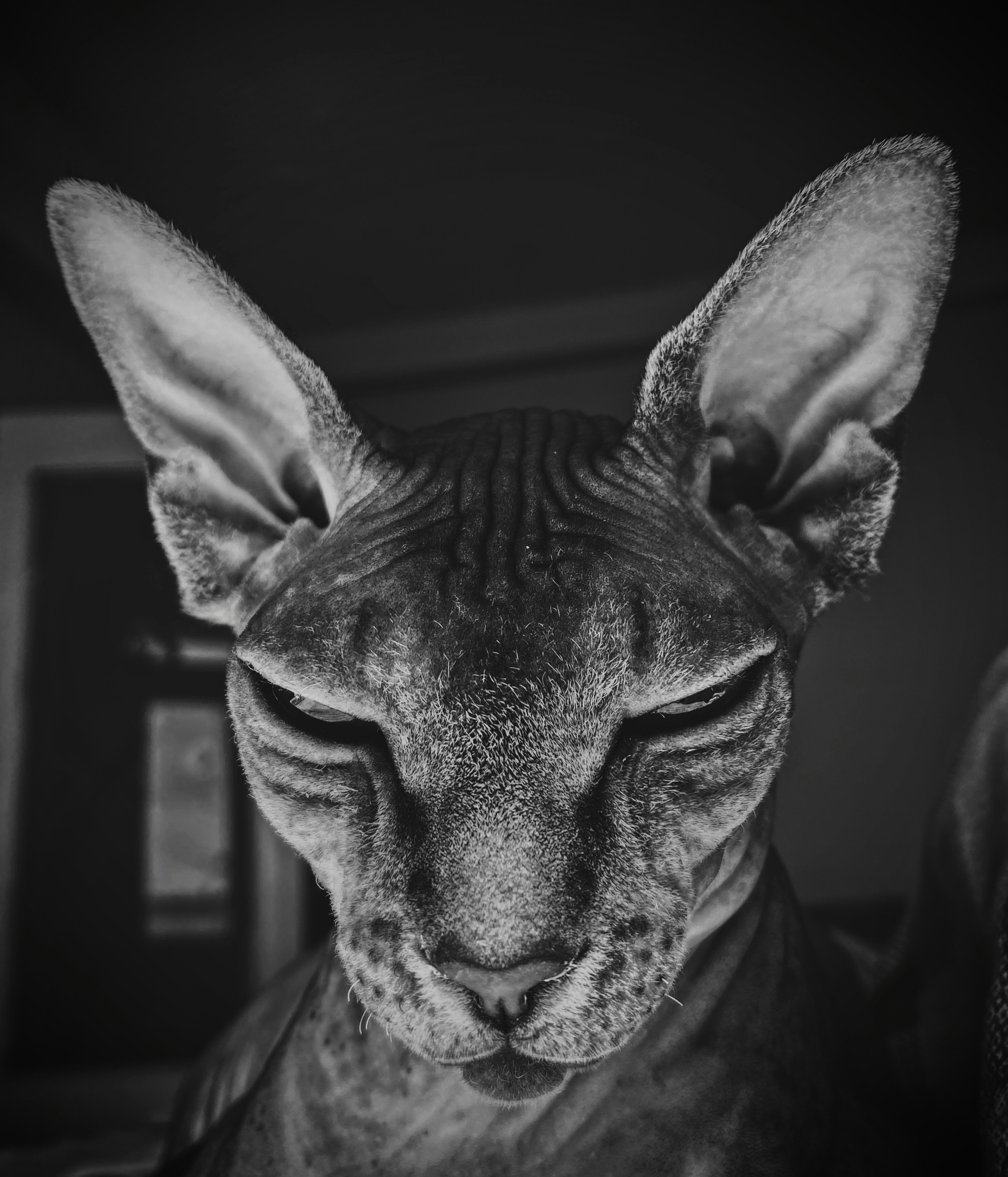 Captain's Away! Chapter Forty-Two