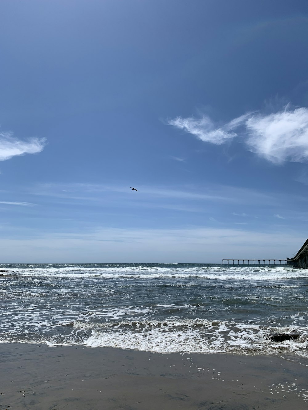 bird flying over the sea during daytime