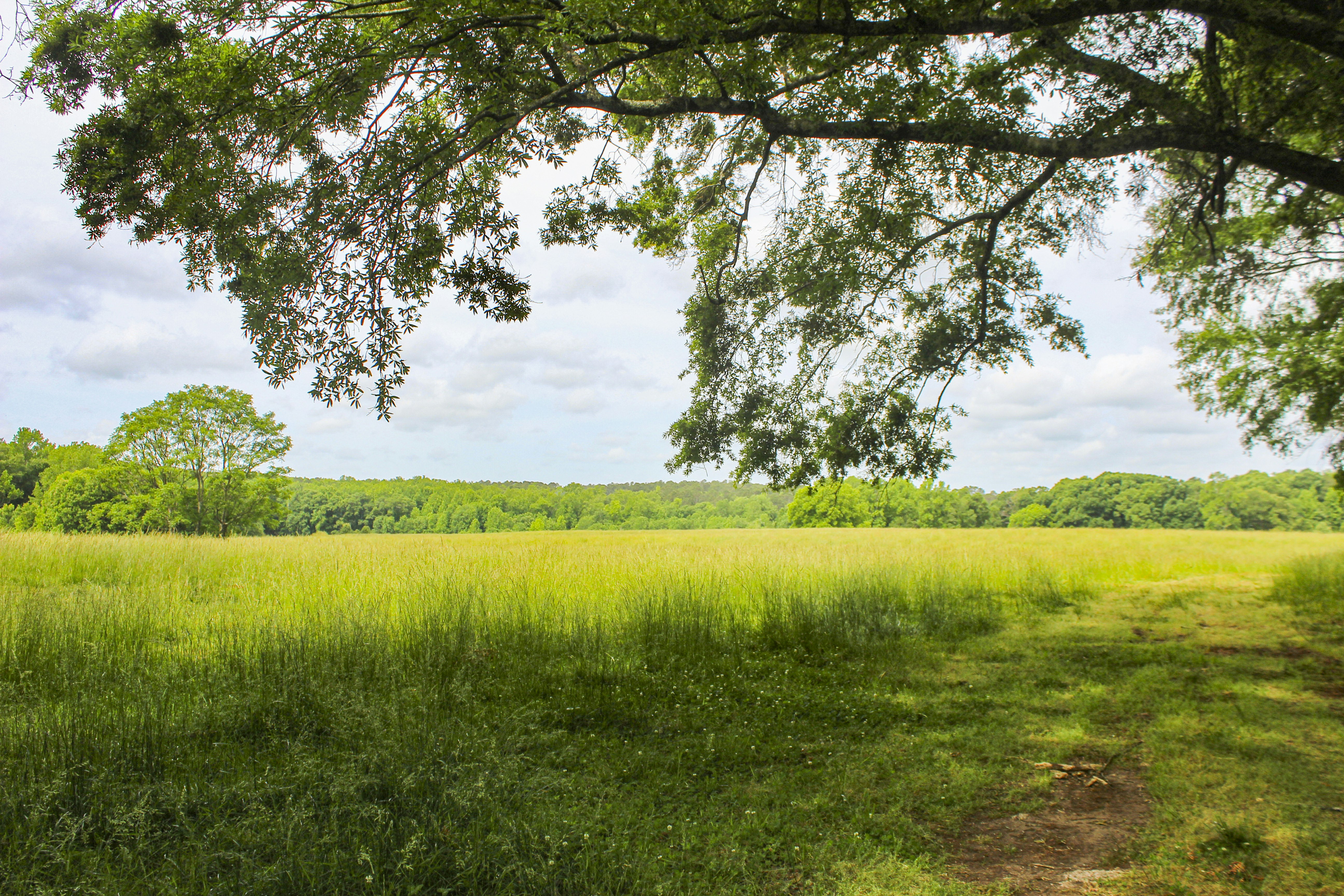 Photo by caragrodriguez