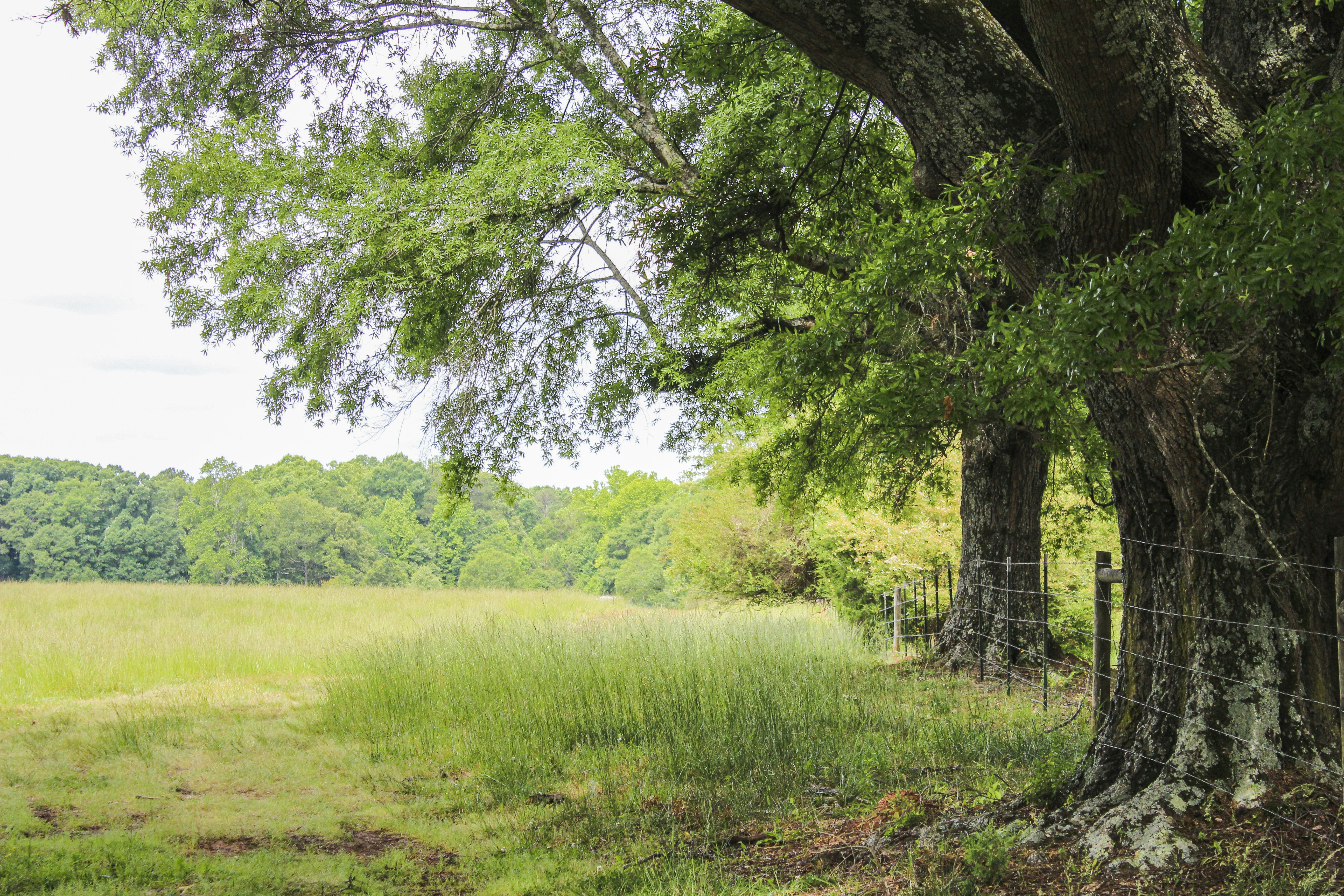 Photo by caragrodriguez