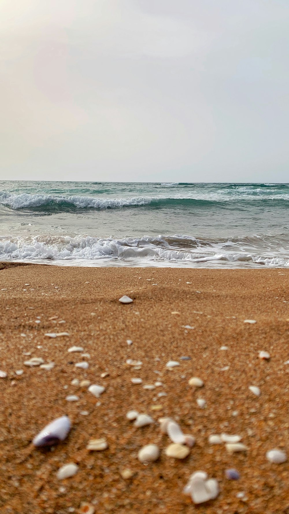 brown sand near body of water during daytime