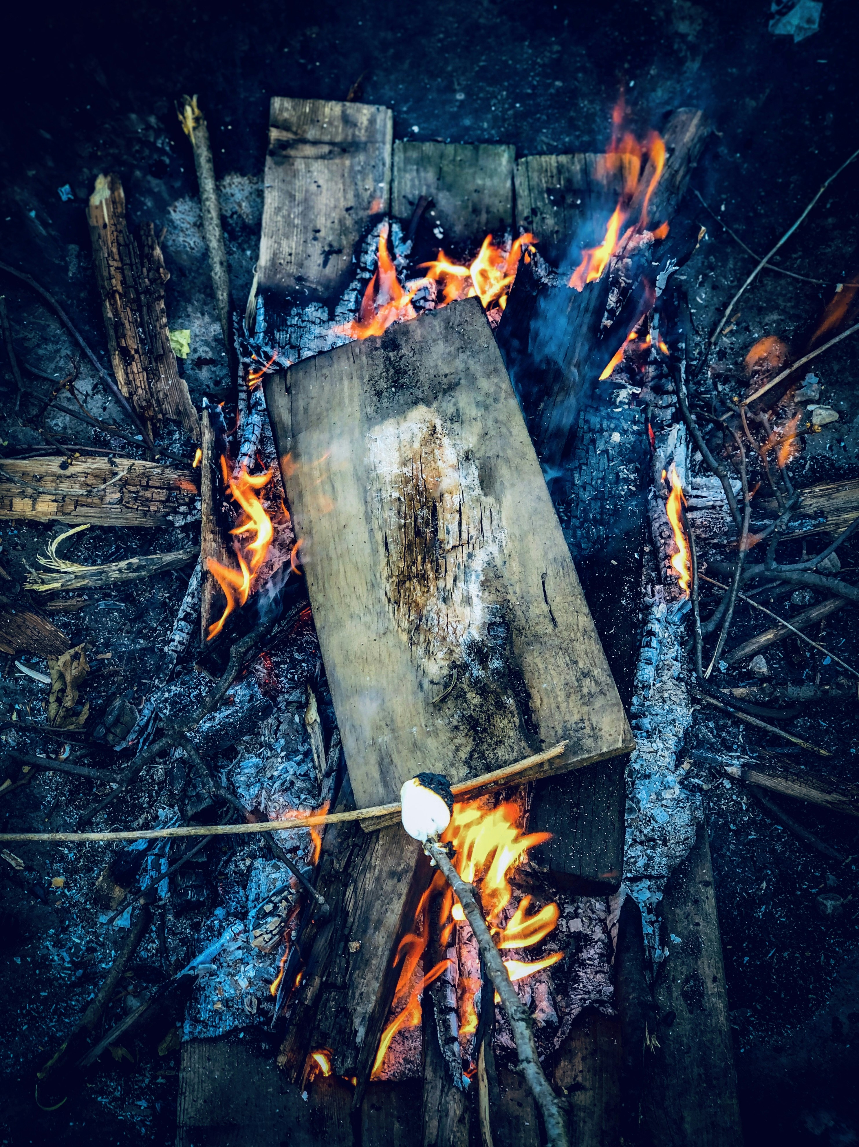 photo 1590974312507 9b4f63f6e831?ixlib=rb 4.0