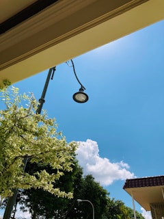 A beautifully lit outdoor scene ready for filming.