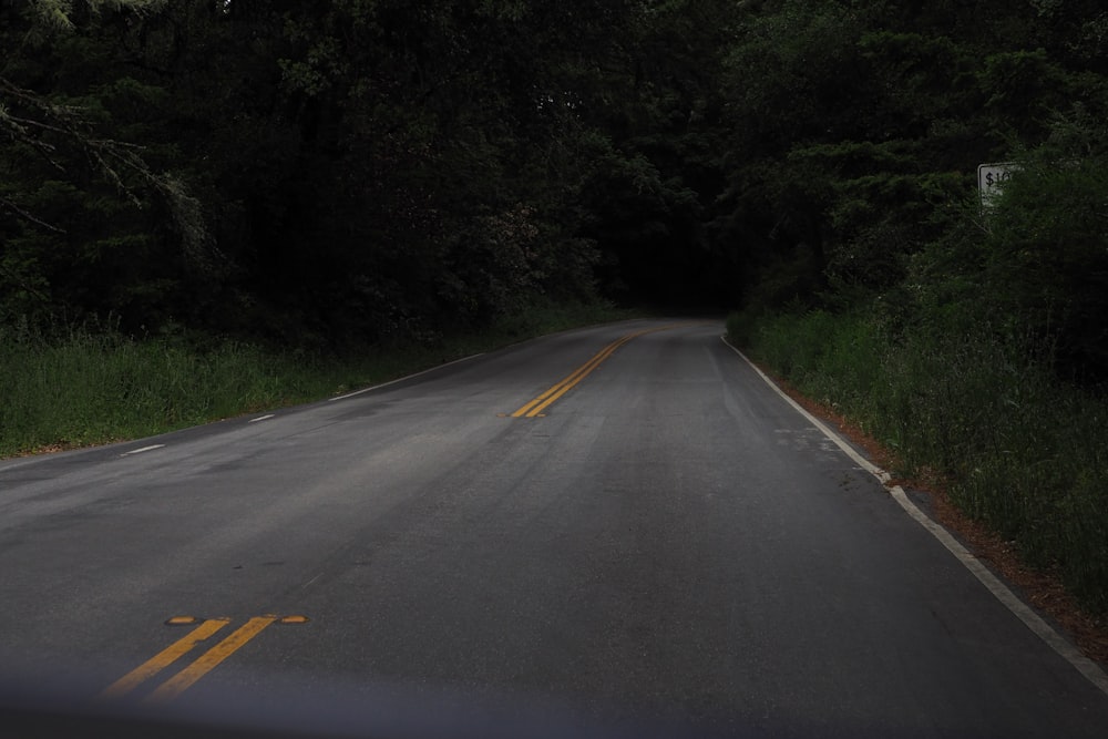 gray concrete road between green trees during daytime