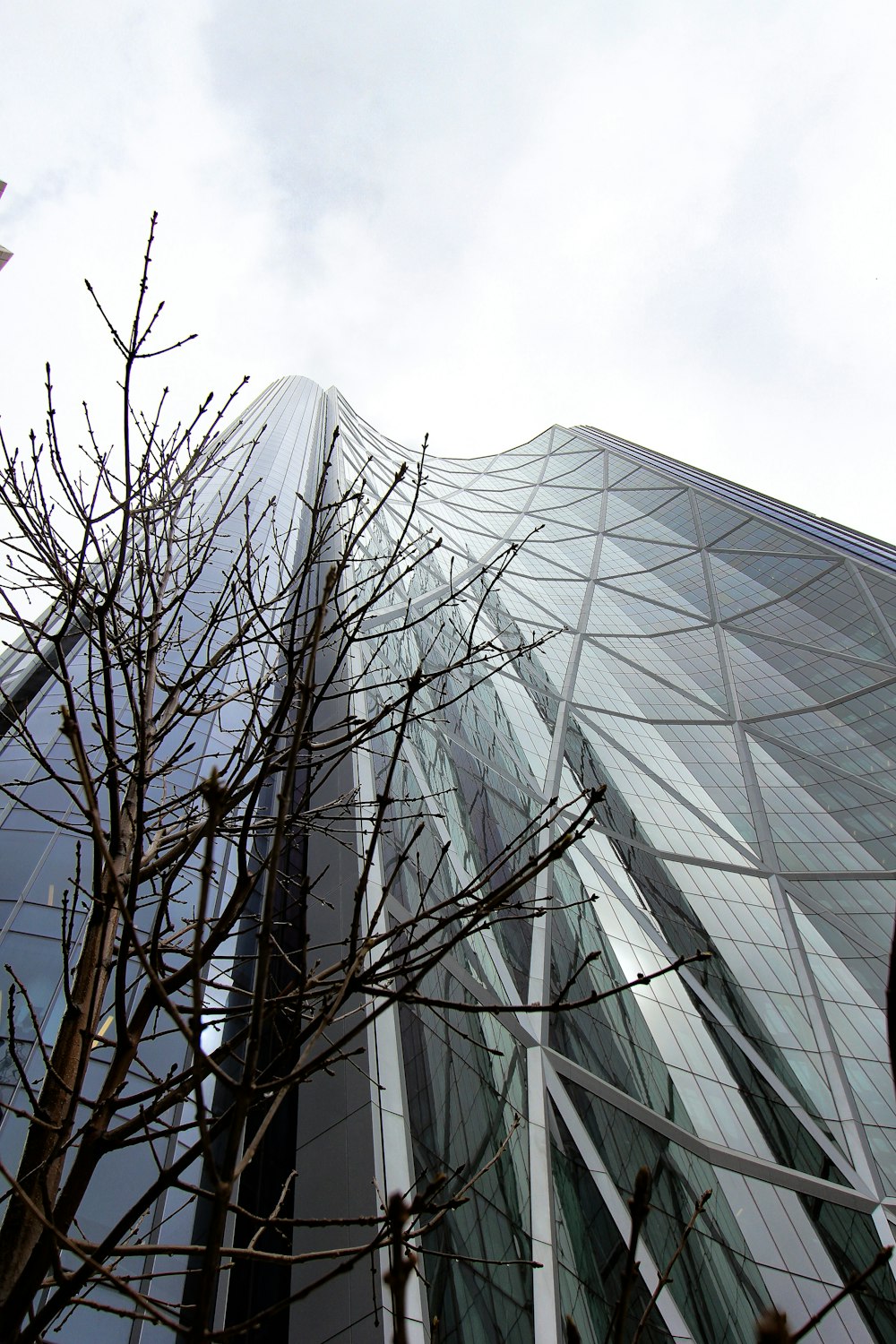 low angle photography of glass building