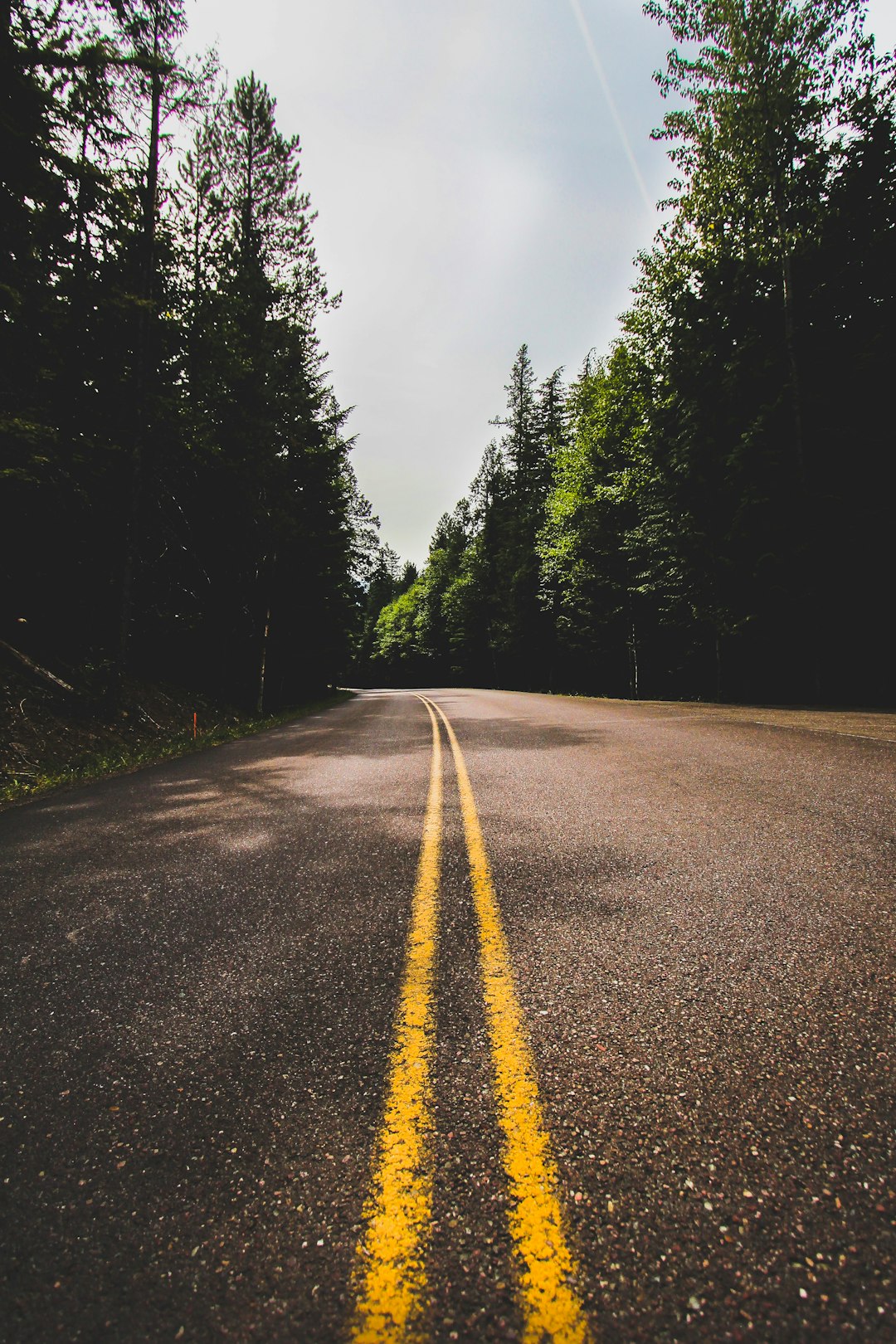 gray concrete road between green trees during daytime