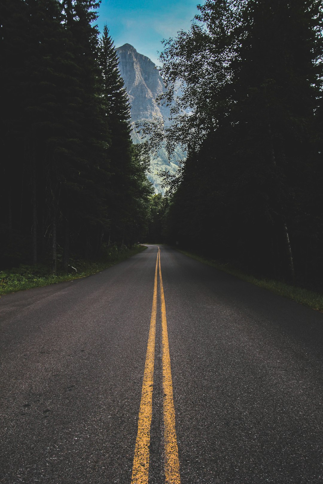 gray concrete road between green trees during daytime