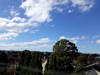 A scenic view of a suburban neighborhood with trees and houses.