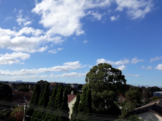 A scenic view of a suburban neighborhood with trees and houses.