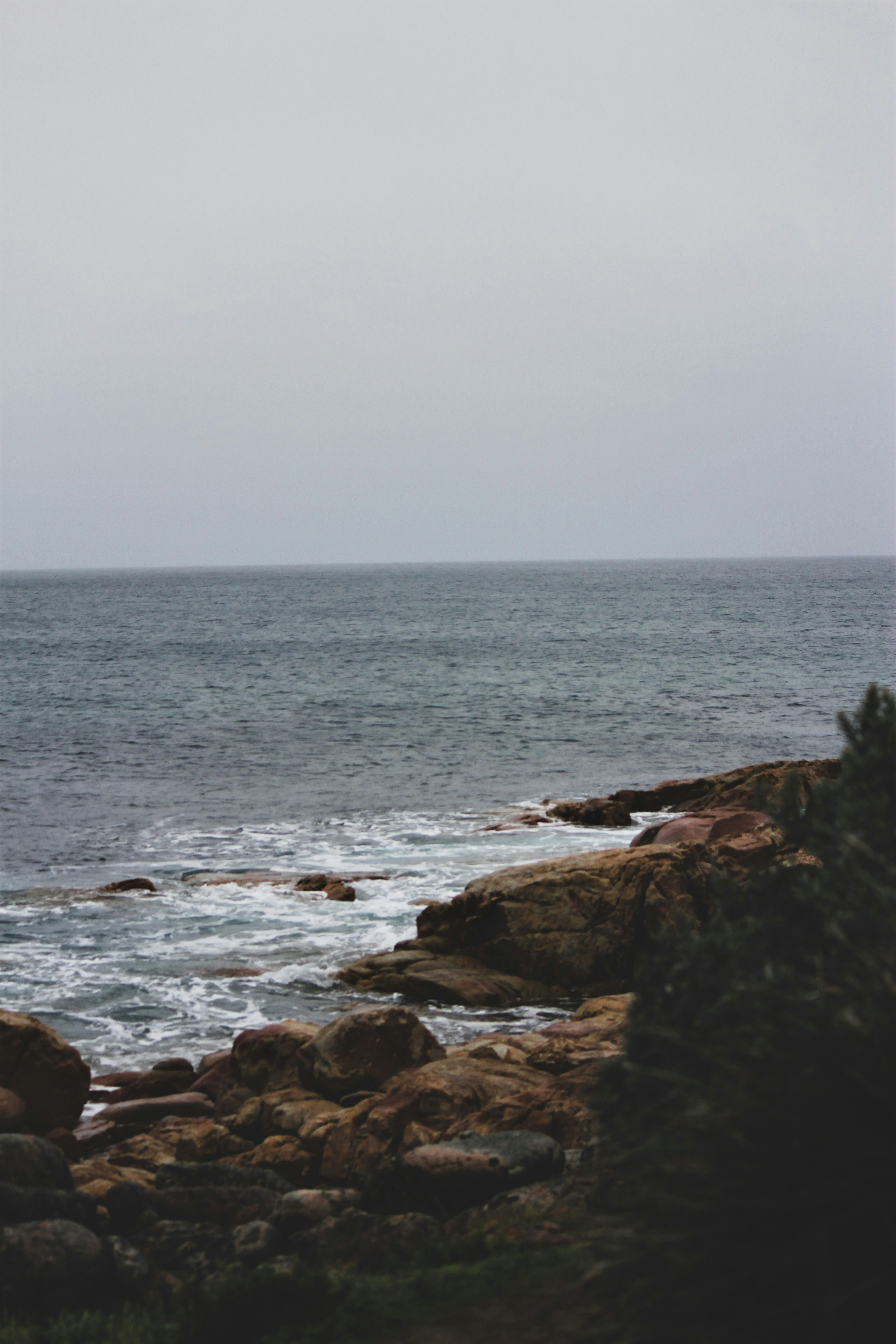 Photo by scottkelley