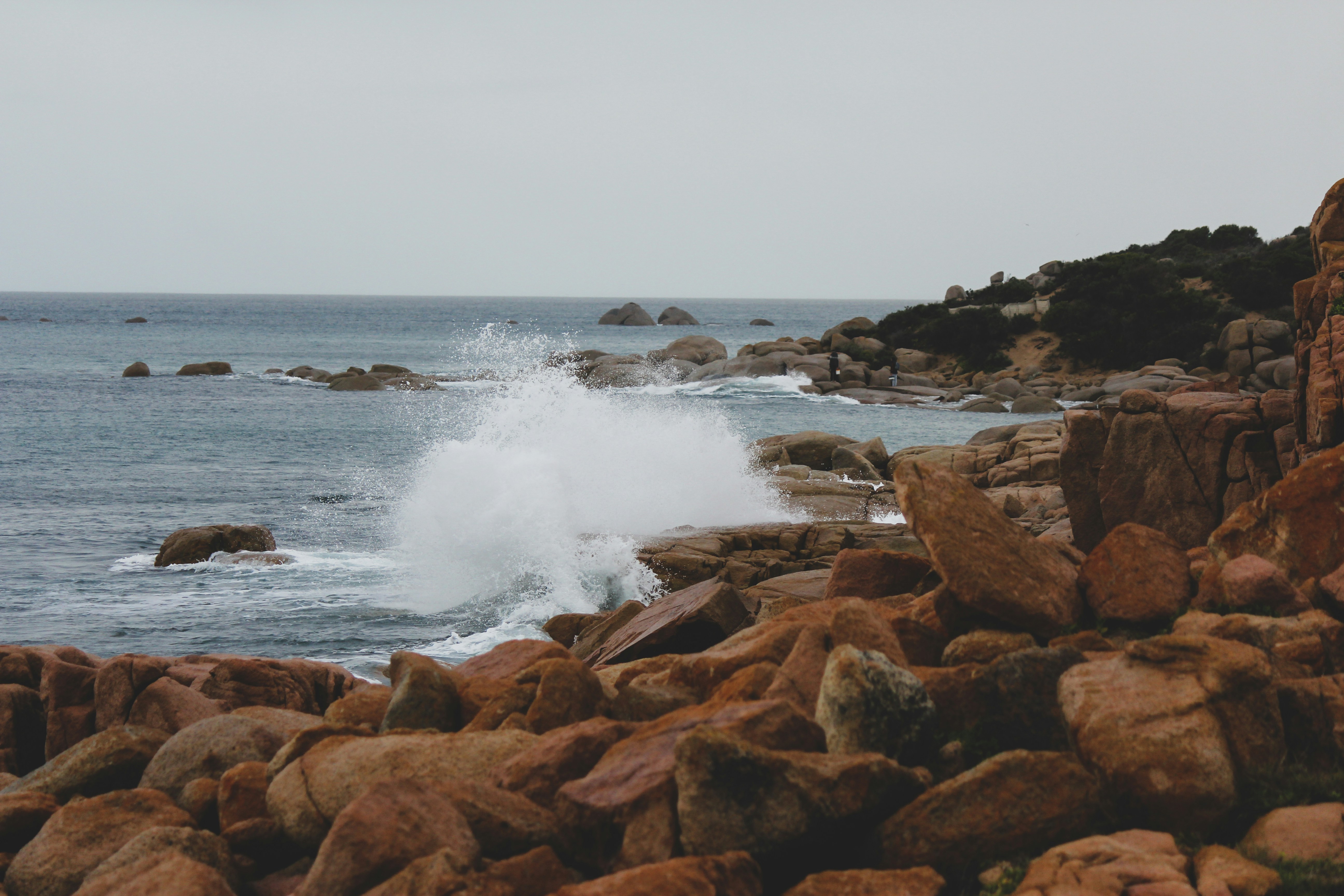 Photo by scottkelley