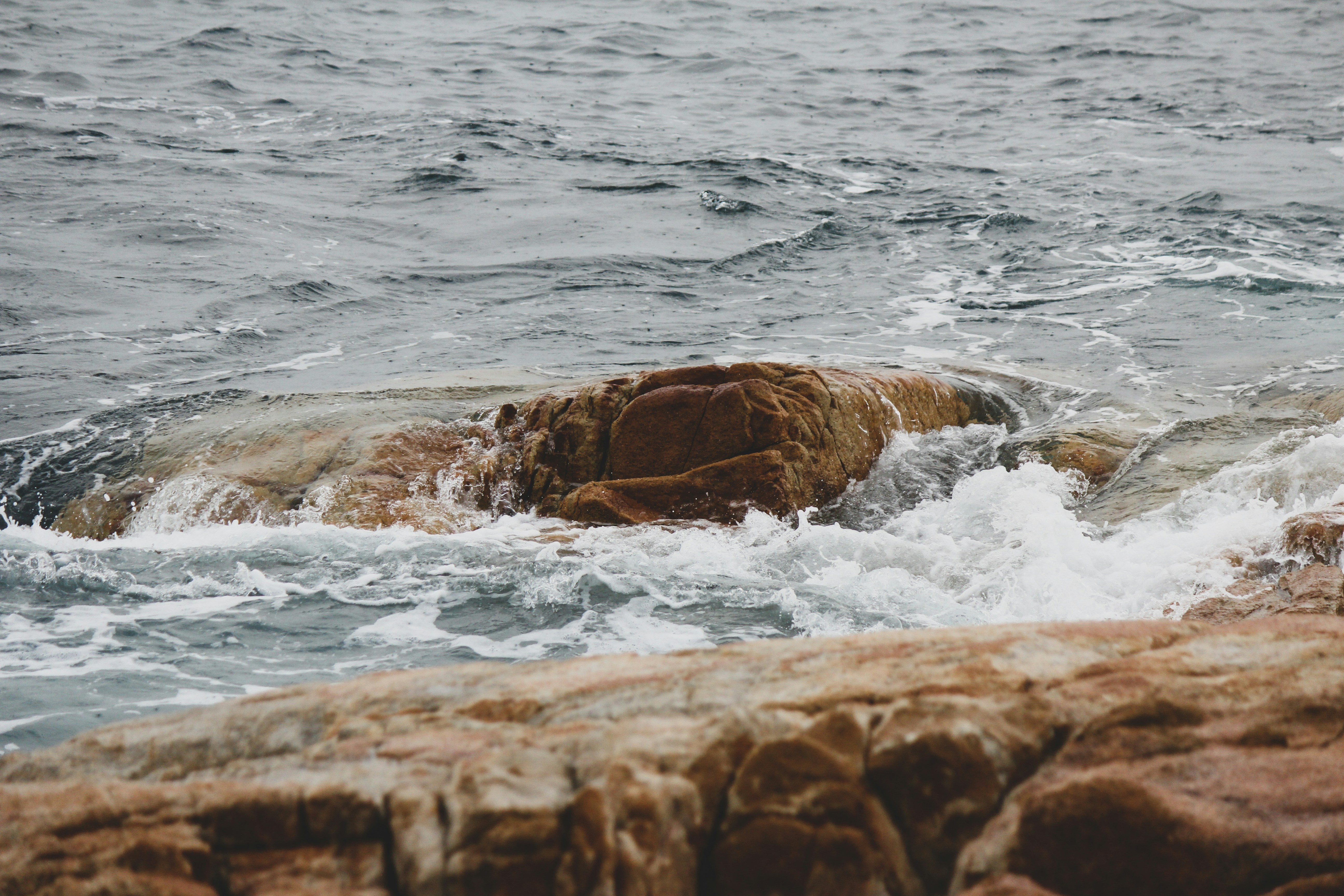 Photo by scottkelley