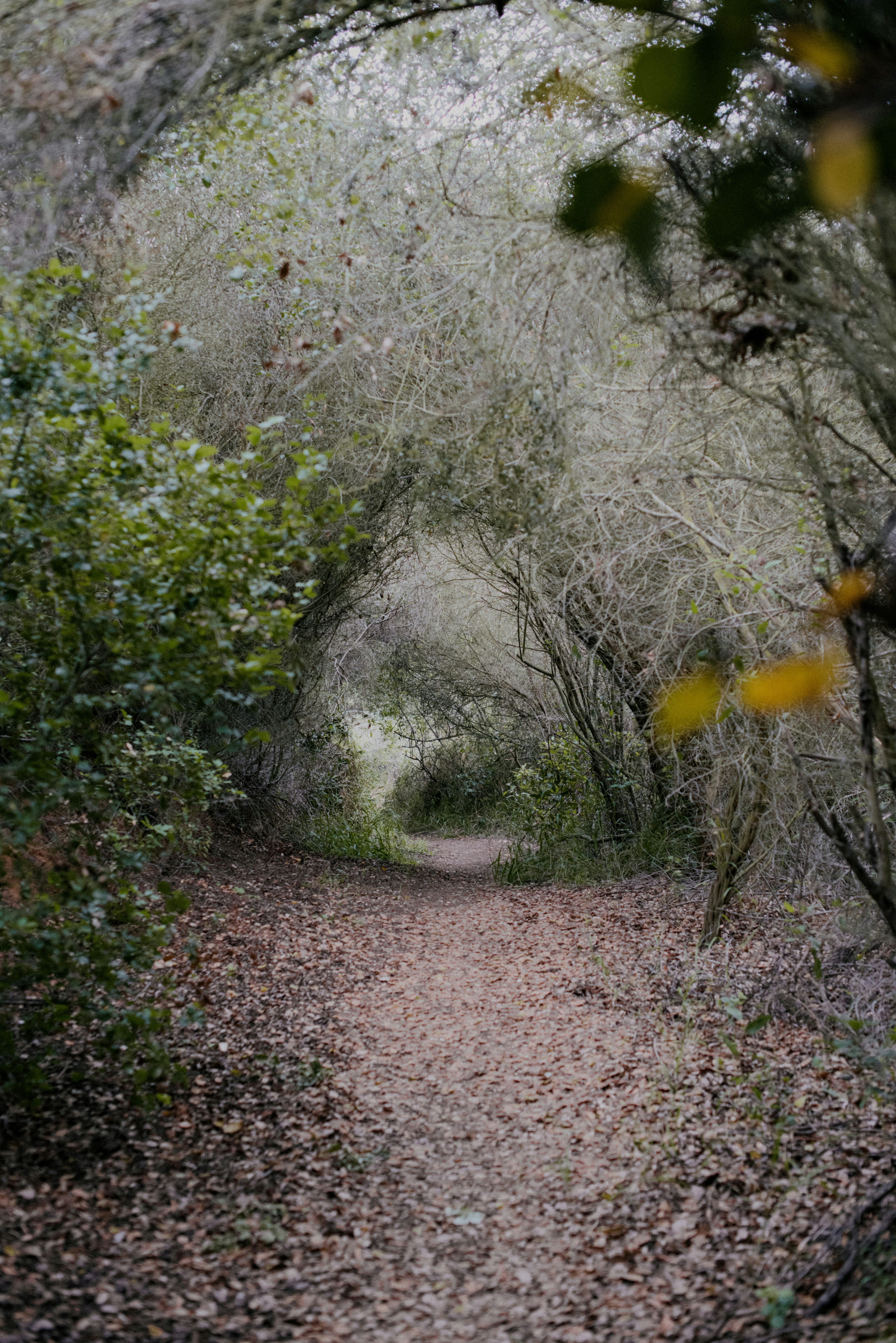 Photo by octoberroses