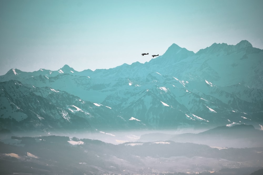 black bird flying over snow covered mountains during daytime
