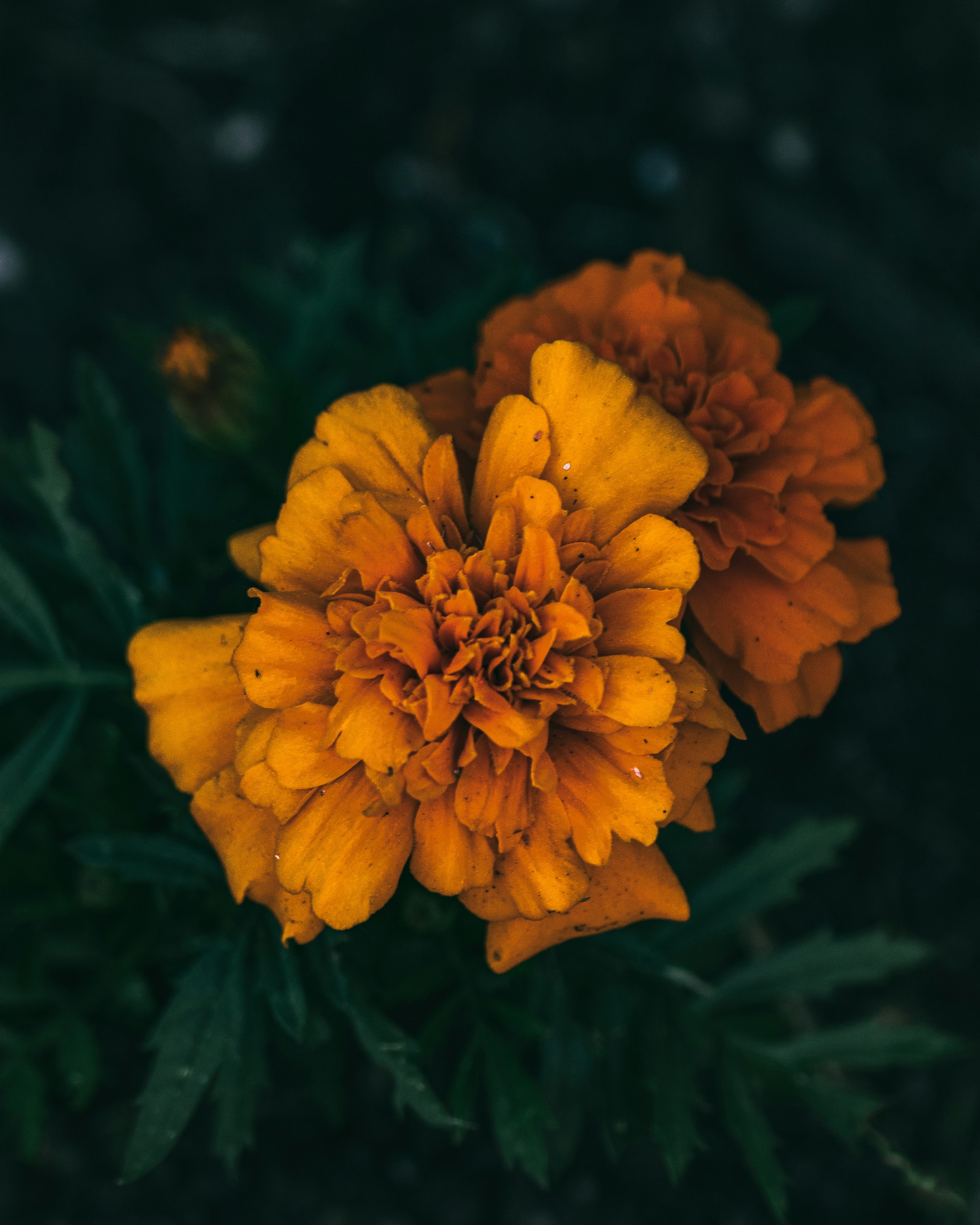 Photo by jeffrey_jpeg