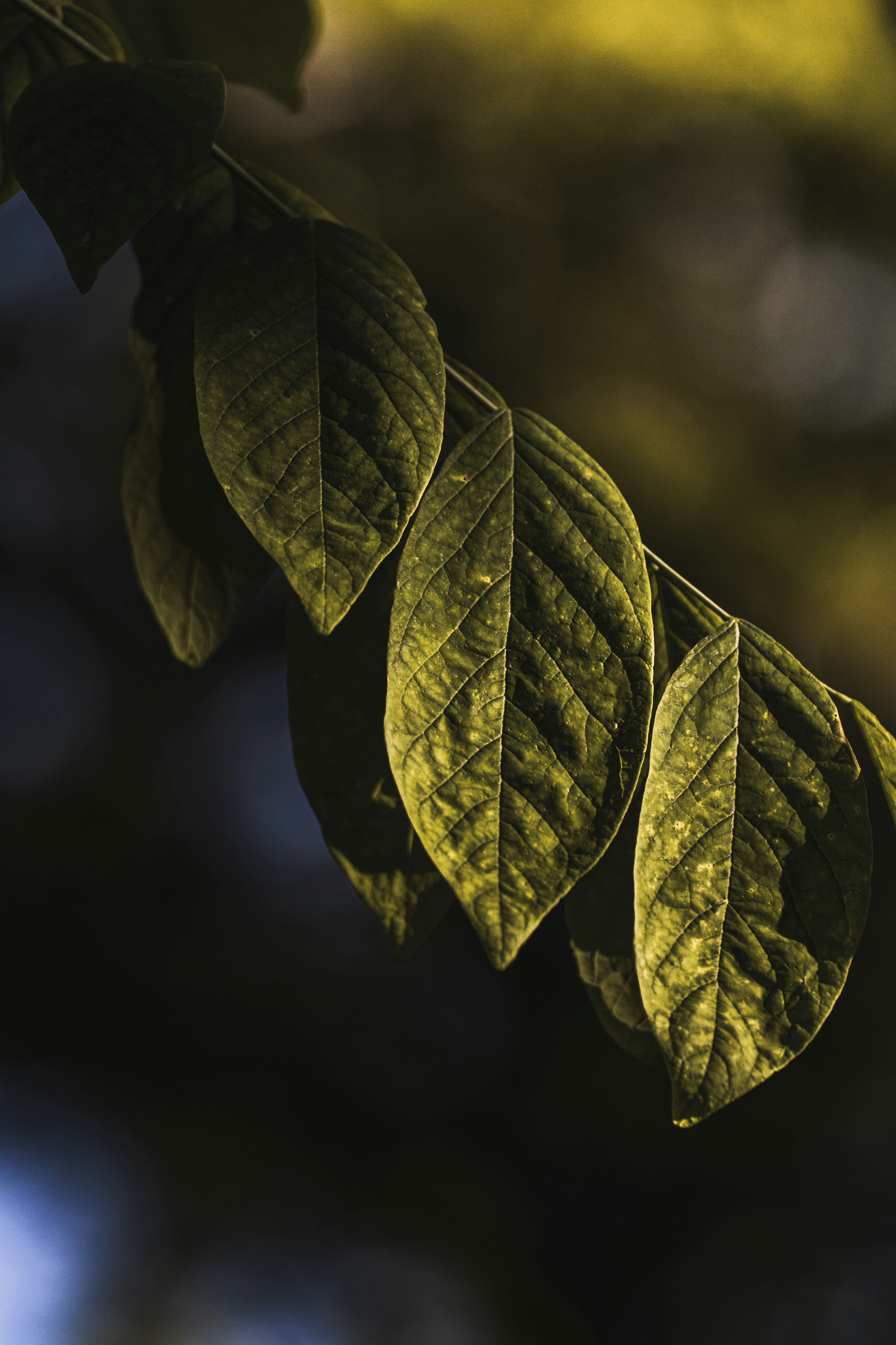 Photo by jeffrey_jpeg