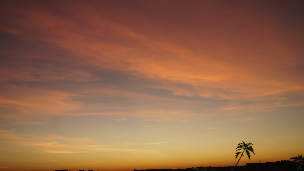 silhouette of person standing on hill during sunset