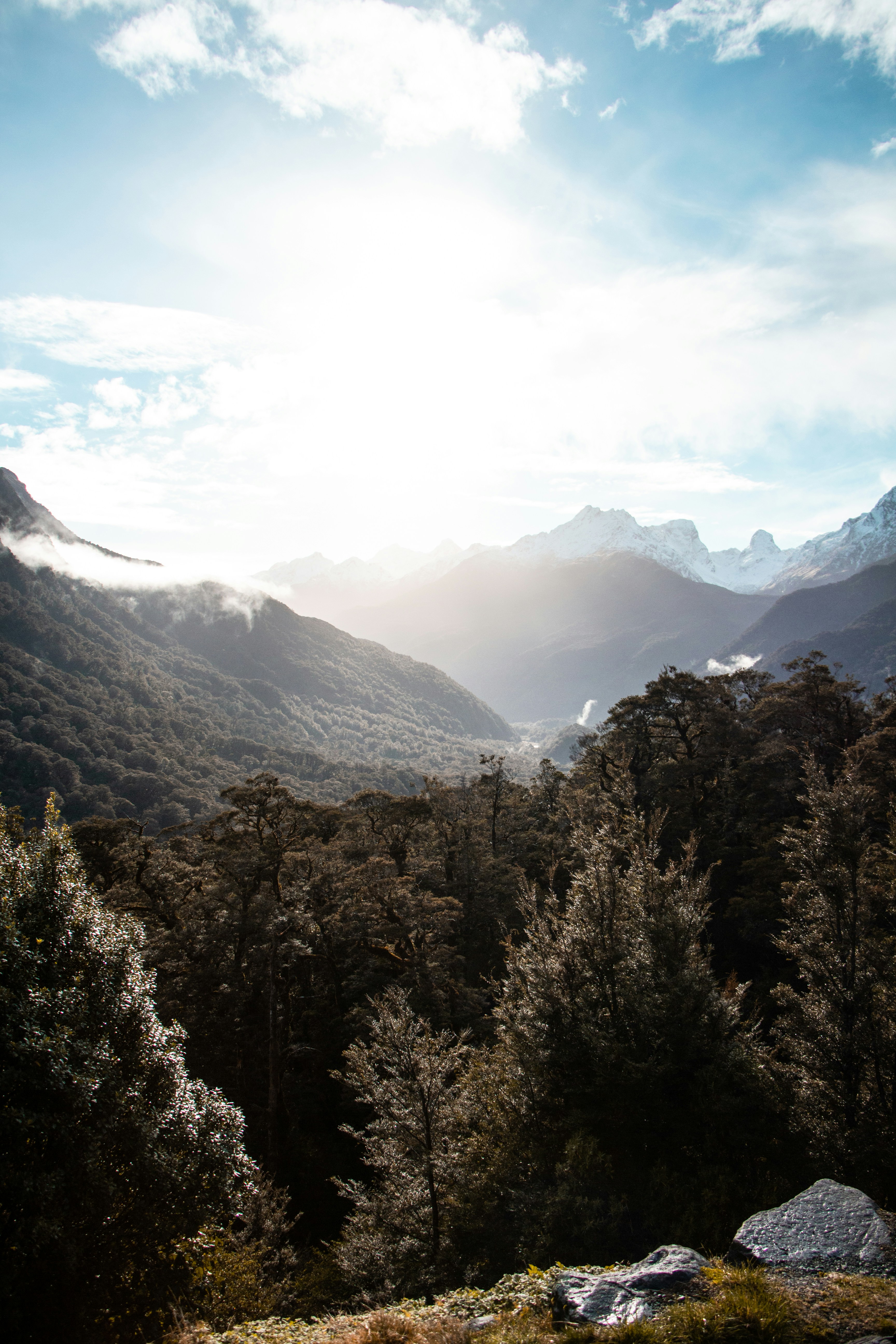 Fiordland National Park