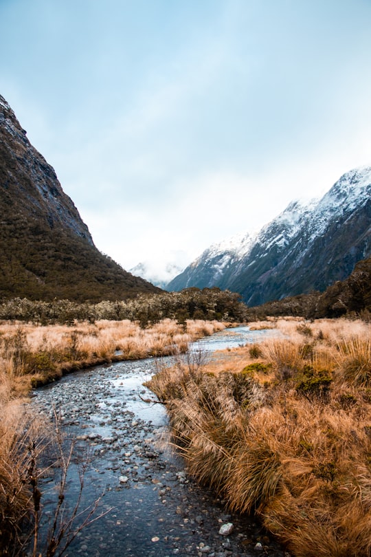 green grass field near lake and mountains during daytime in Milford Sound New Zealand