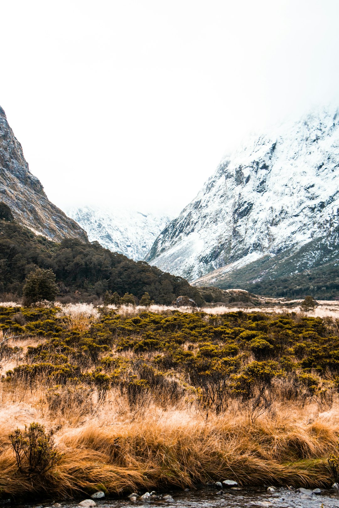 travelers stories about Hill in Milford Sound, New Zealand