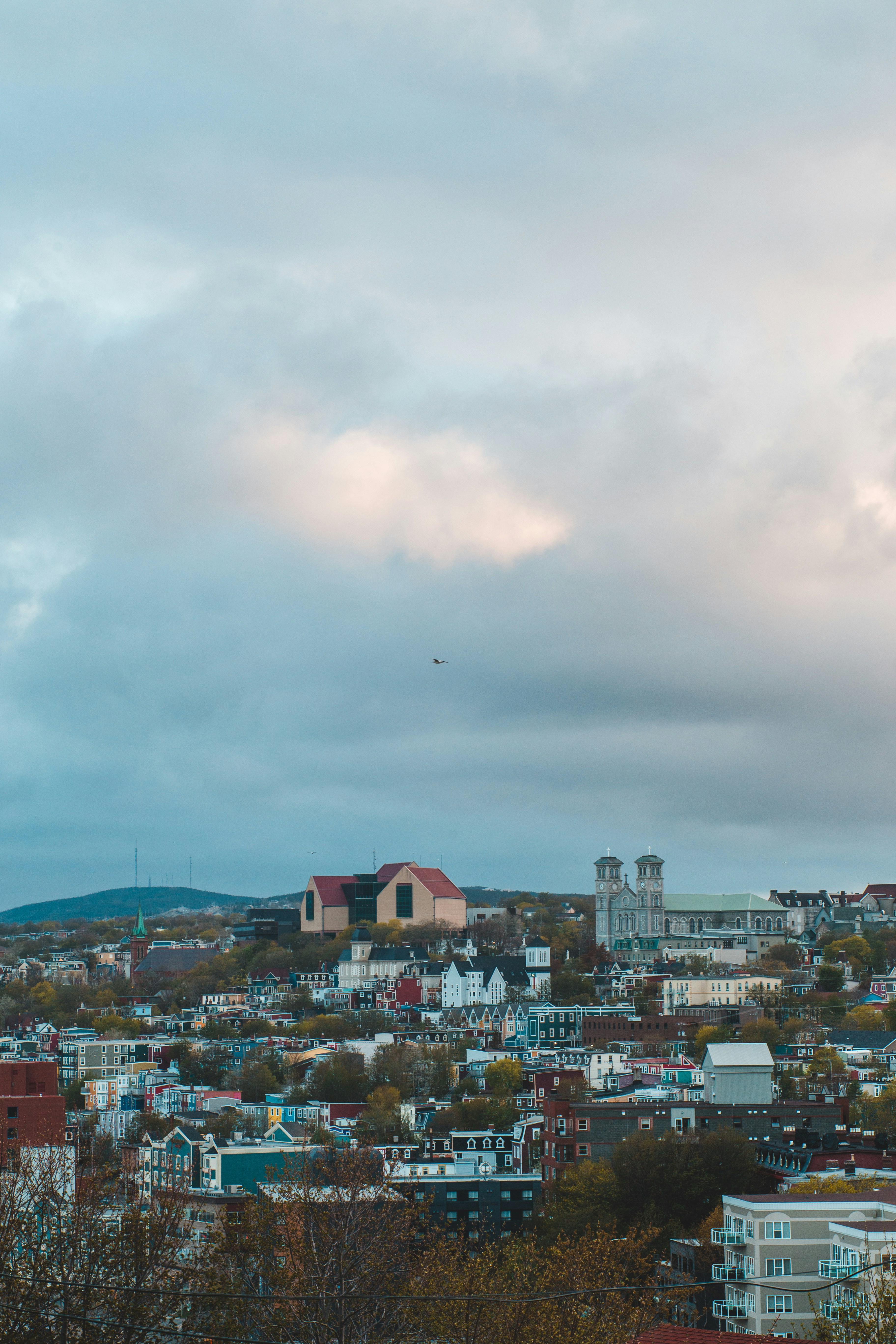 Photo by introspectivedsgn