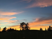 The image captures a tranquil sunset with vibrant hues of orange, yellow, and blue painted across the sky. Silhouetted trees are in the foreground atop a small hill, creating a peaceful and serene landscape.