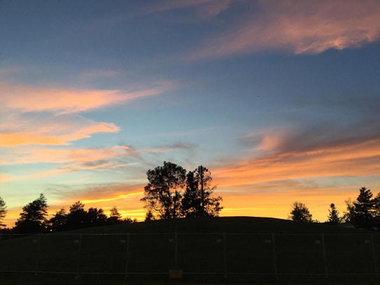 The image captures a tranquil sunset with vibrant hues of orange, yellow, and blue painted across the sky. Silhouetted trees are in the foreground atop a small hill, creating a peaceful and serene landscape.
