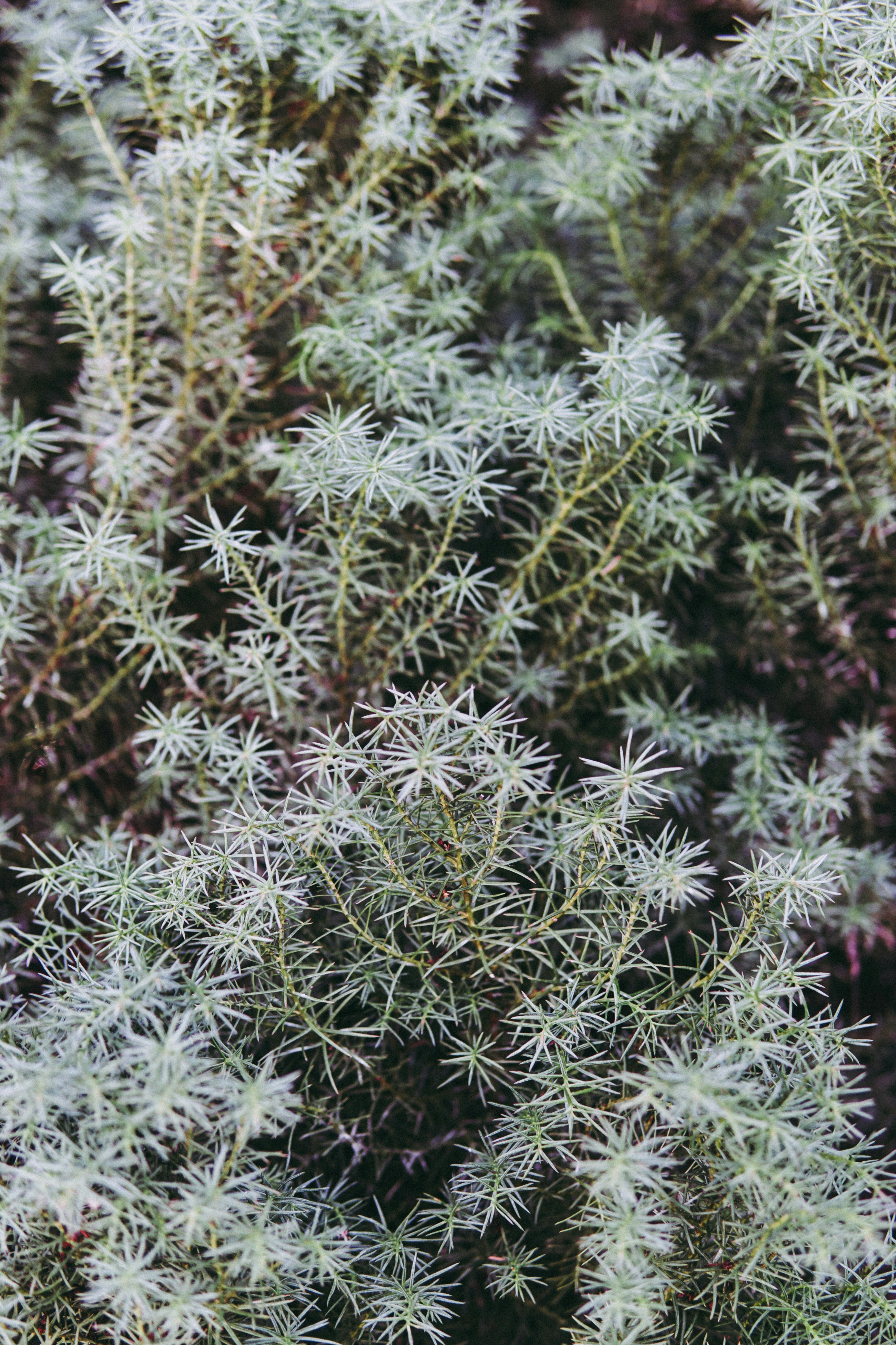 Photo by elletakesphotos