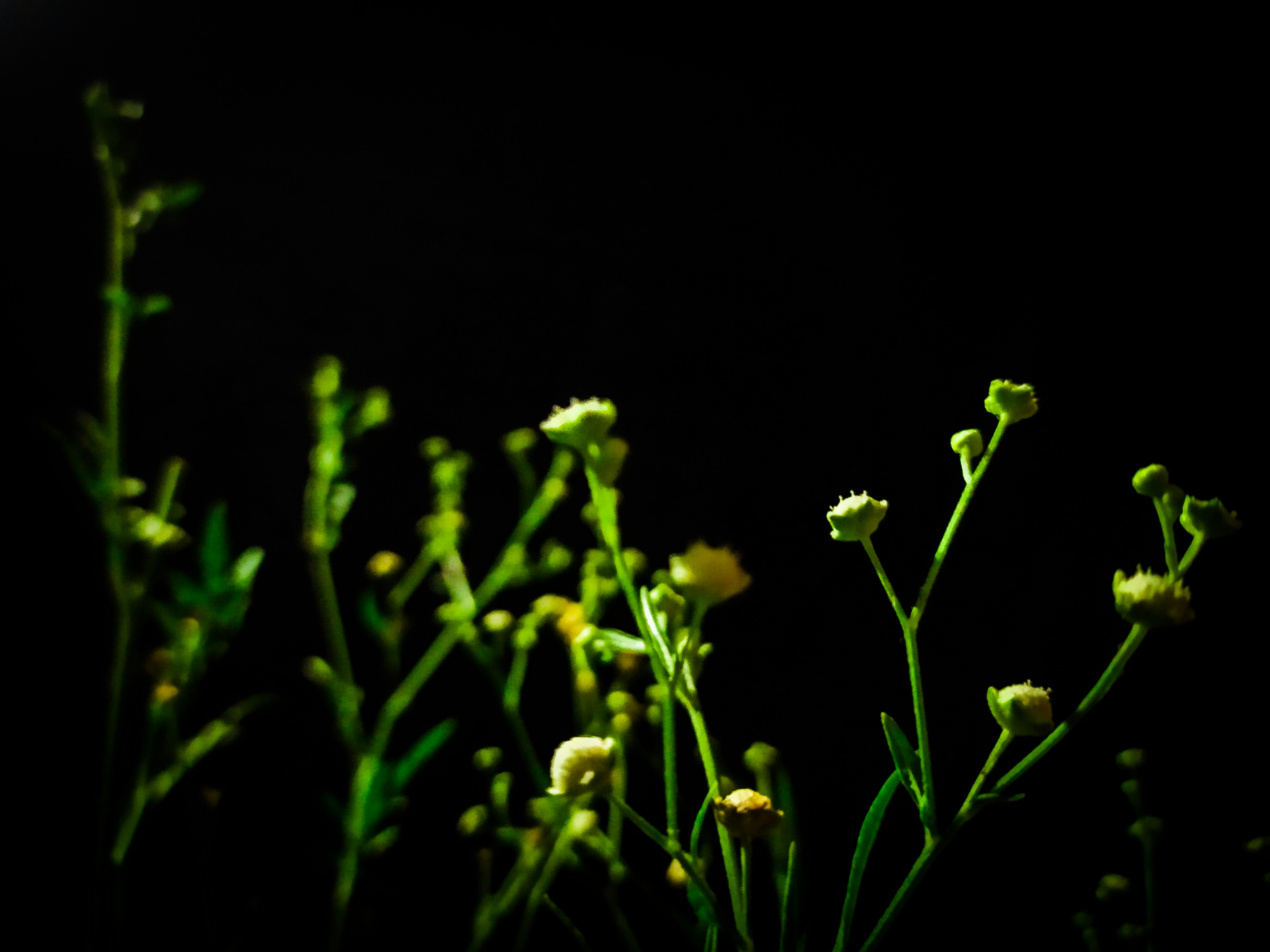 Photo by subhams_click