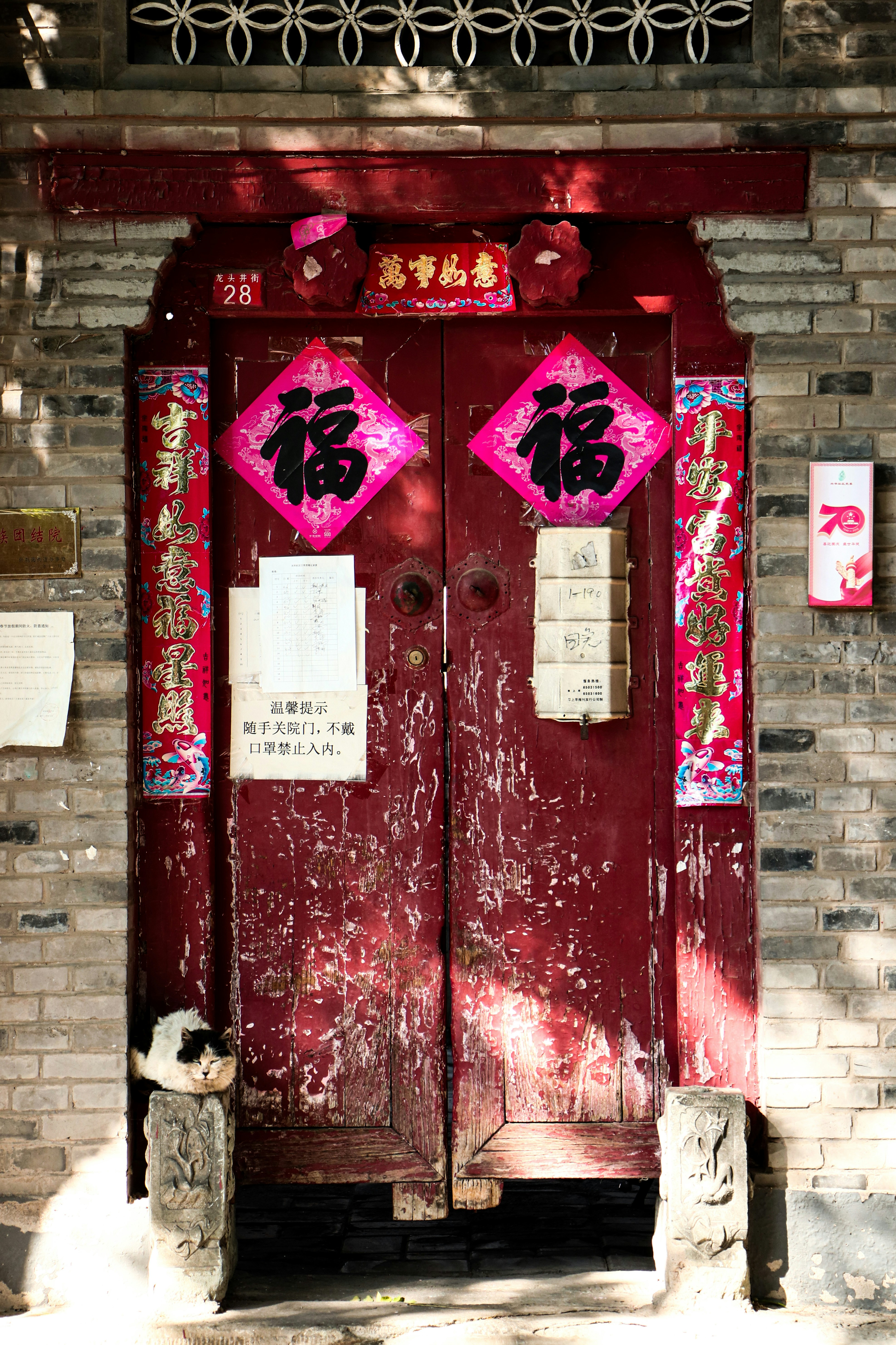 Photo by david_kwok