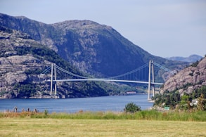 white bridge over the lake