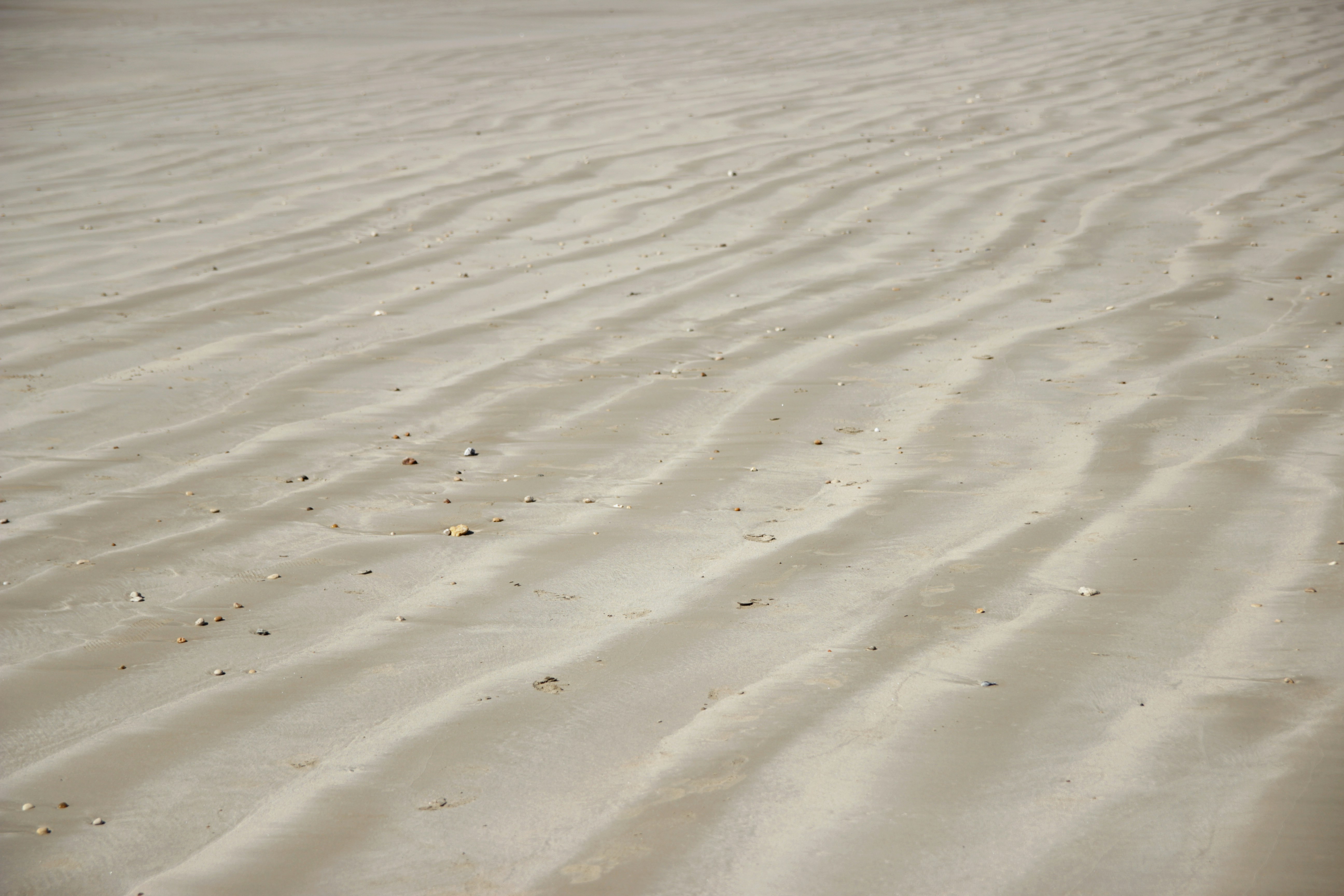 Photo by damiendufourphotographie