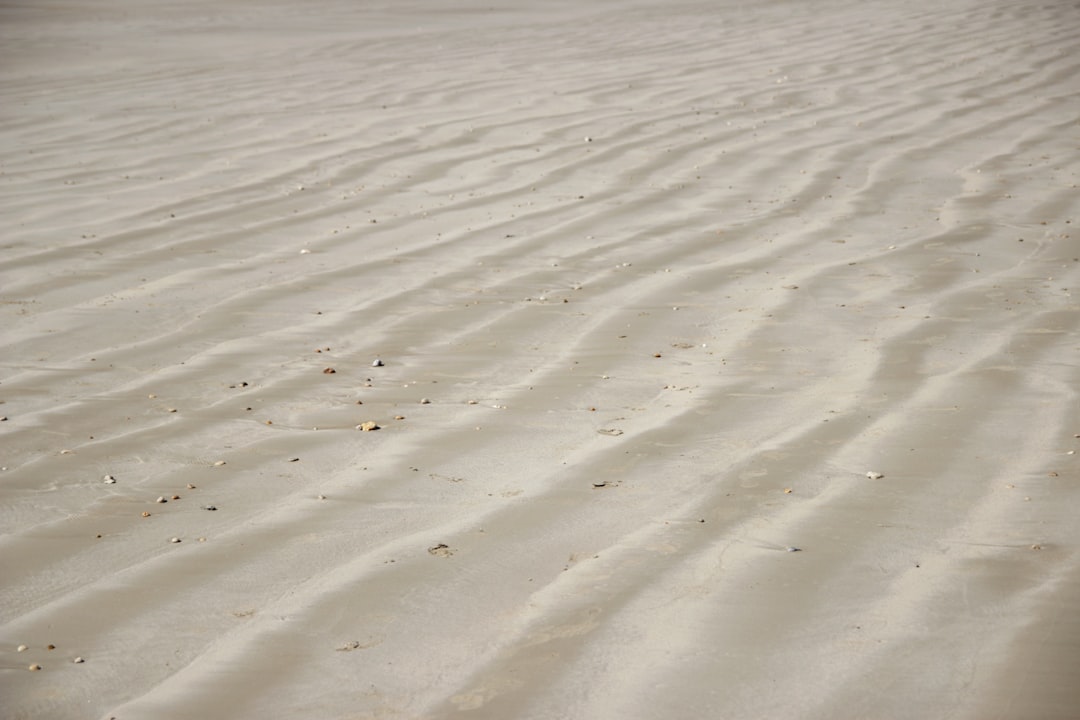 Dune photo spot Île de Ré Île de Ré
