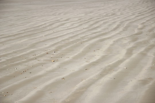 white sand with brown sand in Île de Ré France
