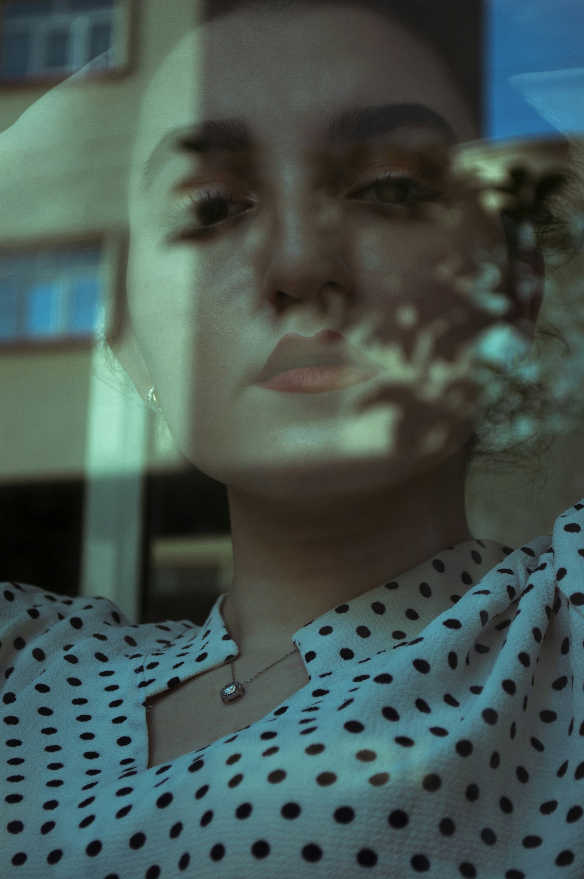 Photo by baranlotfollahi