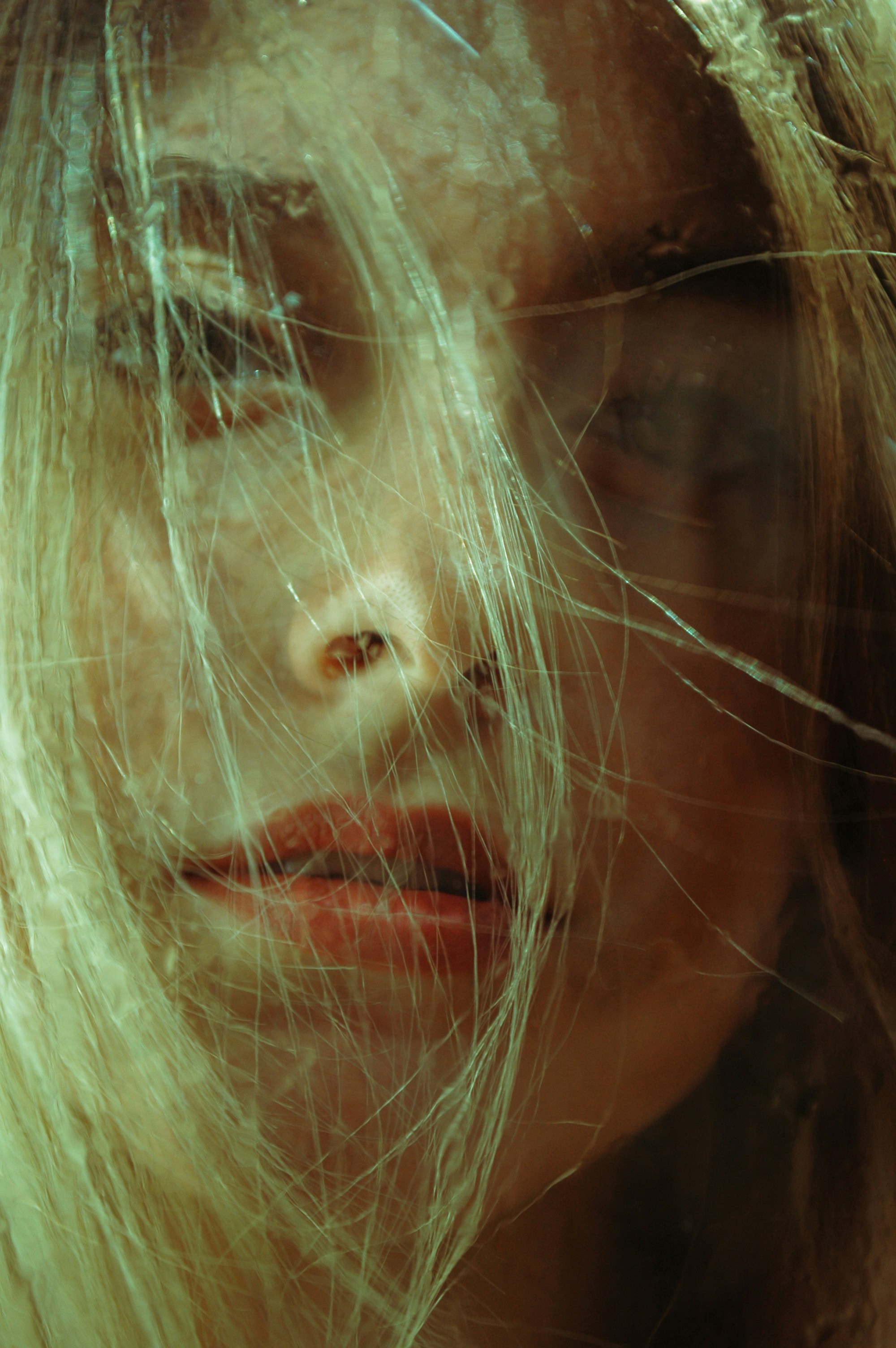 Photo by baranlotfollahi