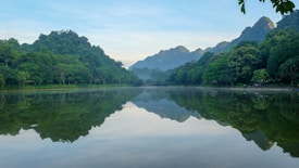 A serene lake perfectly reflects the surrounding lush green hills and distant mountains under a clear blue sky. The landscape is framed by overhanging branches and dense forest, creating a sense of tranquility and untouched nature.