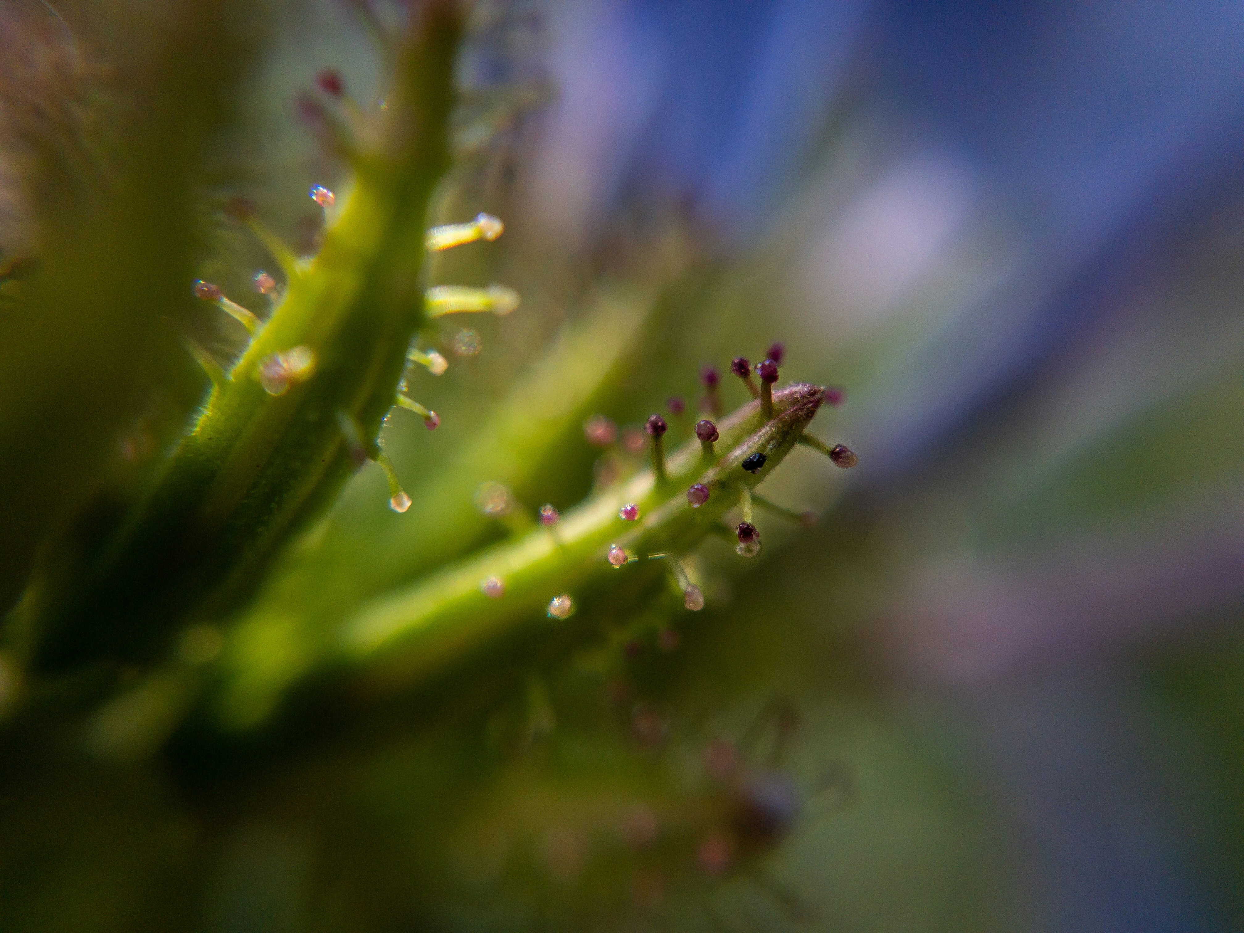 Photo by salberto2000