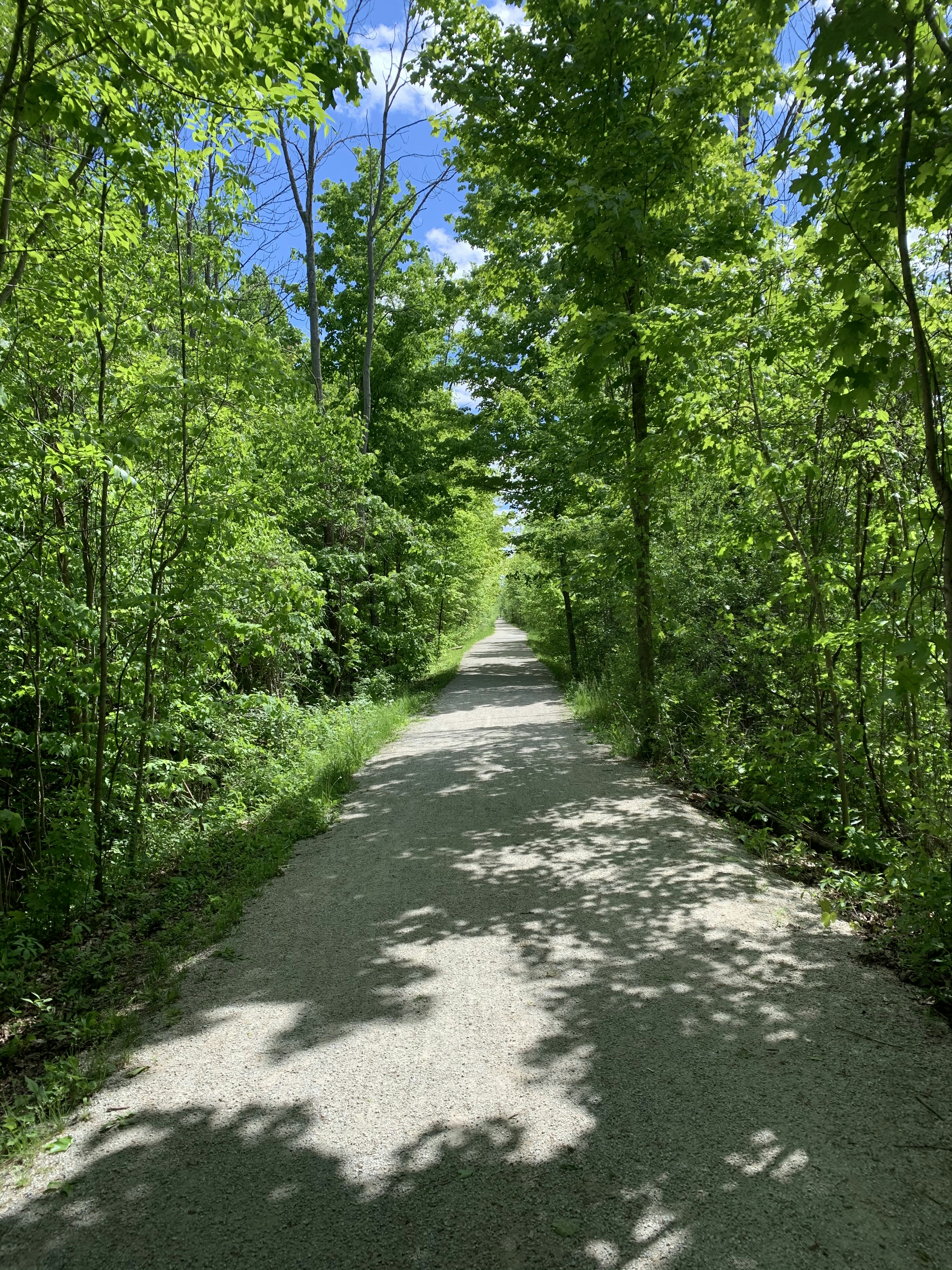 Photo by annoyingboyye1