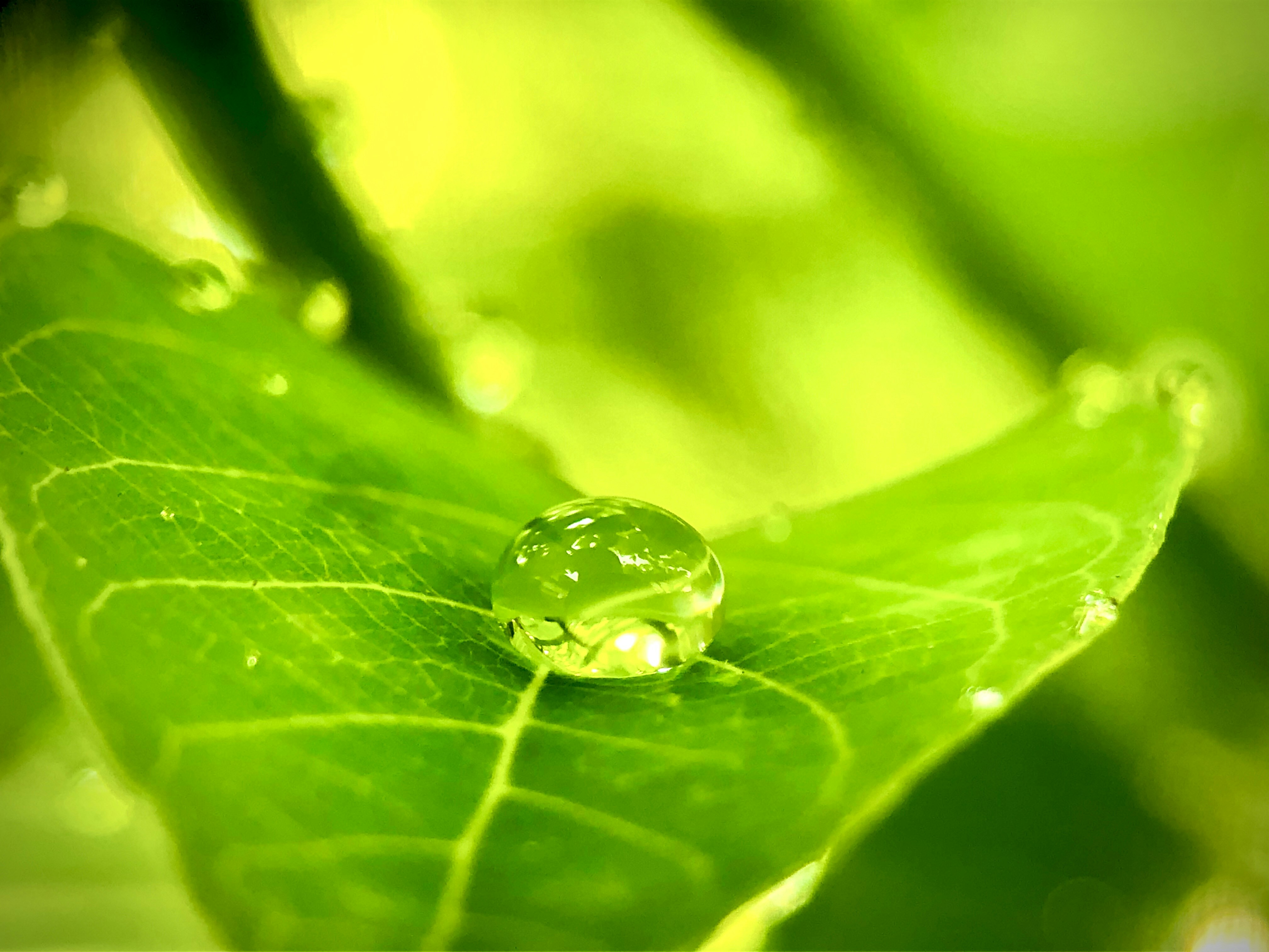 Photo by jasirshaik200071