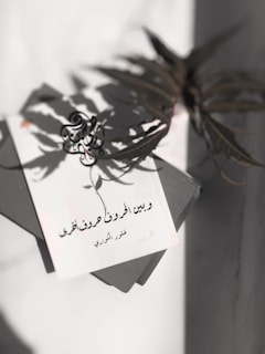 Cover of a poetic anthology with delicate calligraphy and soft pastel tones